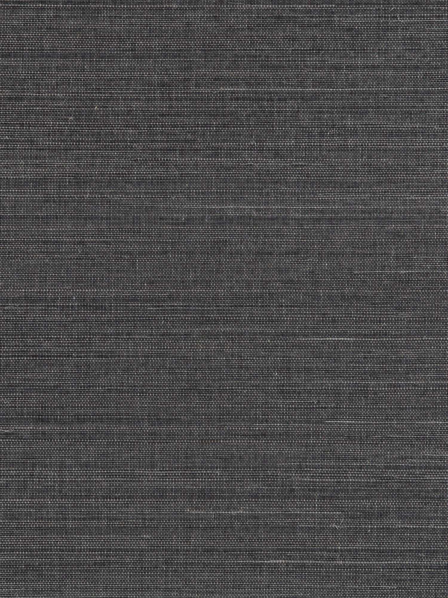 Fine Sisal wallpaper in steel color - pattern number SC 0009WP88341 - by Scalamandre in the  collection