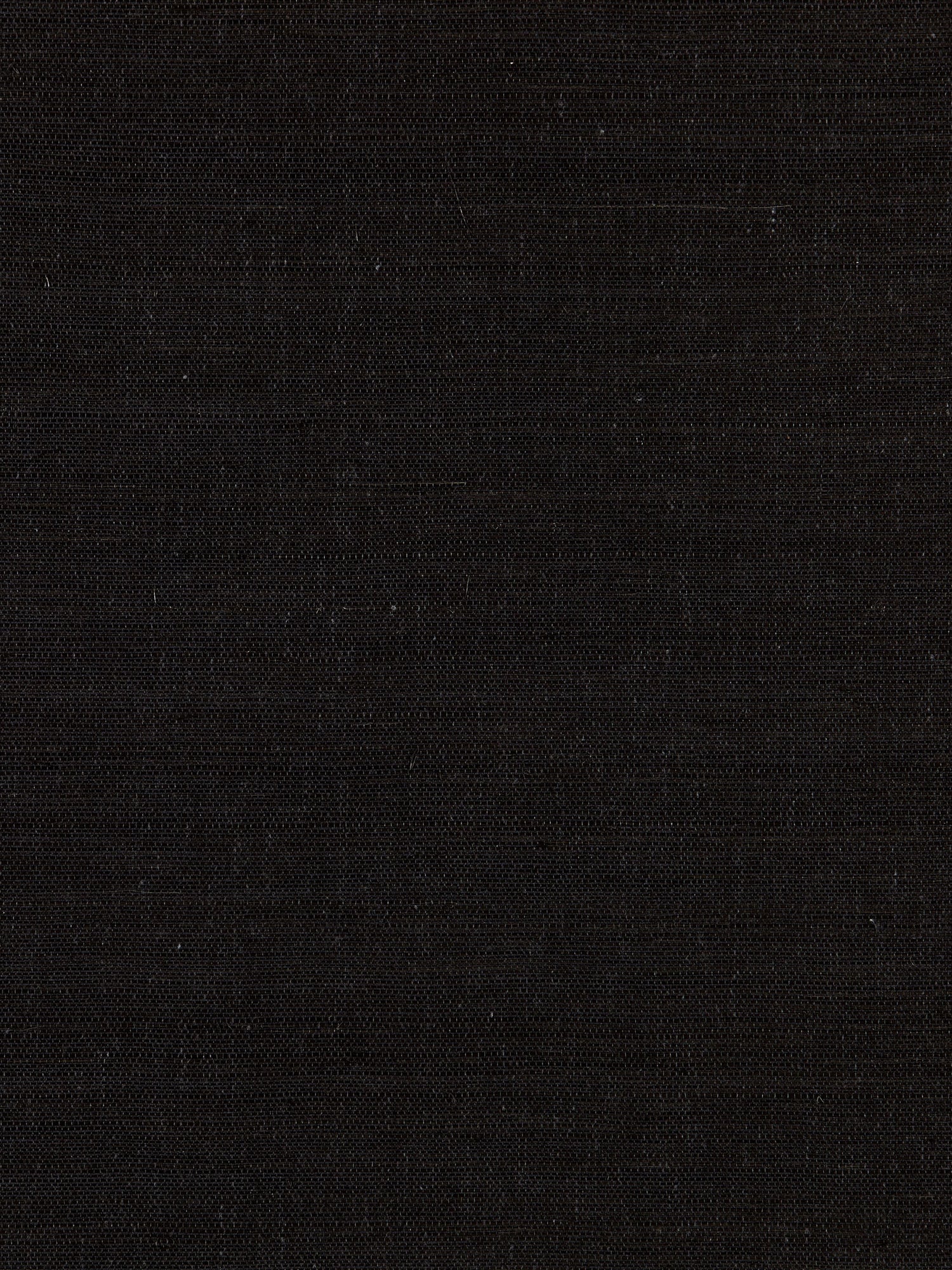 Fine Sisal wallpaper in carbon color - pattern number SC 0011WP88341 - by Scalamandre in the  collection