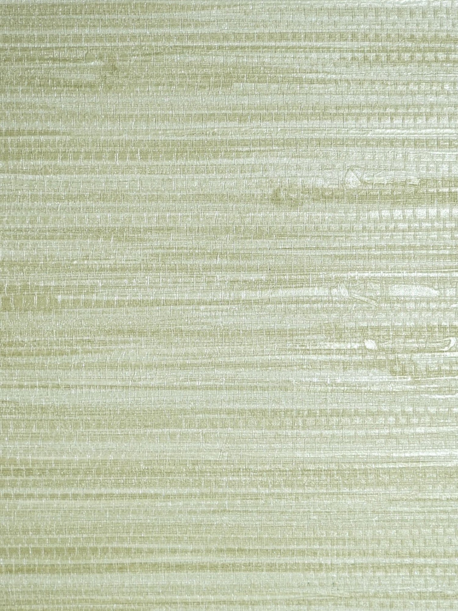 Pampas fabric in seagrass color - pattern number SC 0014WP88438 - by Scalamandre in the  collection