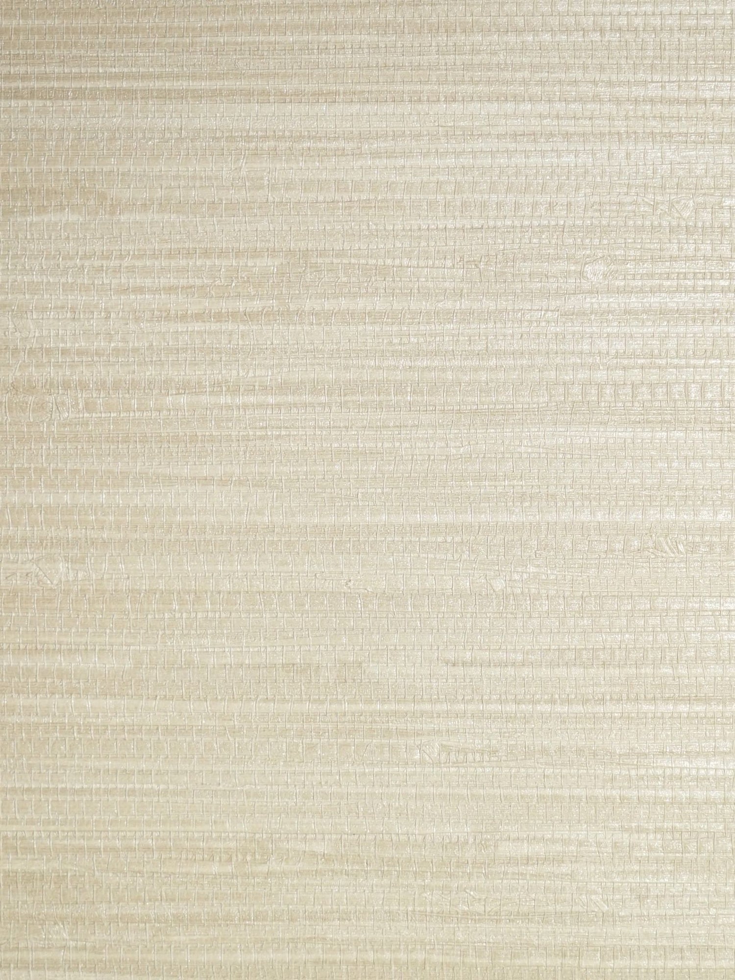 Pampas fabric in dune color - pattern number SC 0015WP88438 - by Scalamandre in the  collection