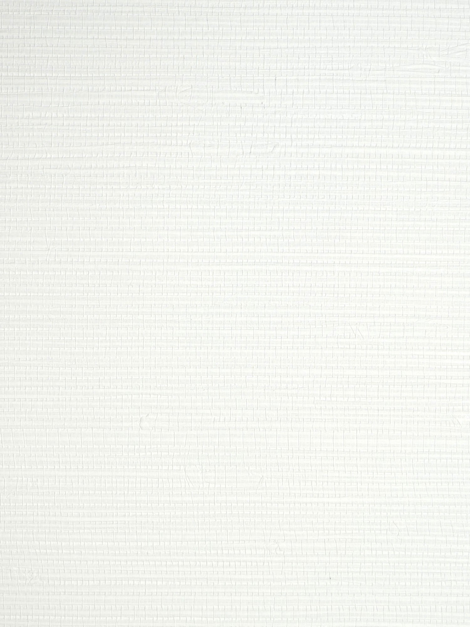 Savanna Seedling wallpaper in froth color - pattern number SC 0015WP88442 - by Scalamandre in the  collection