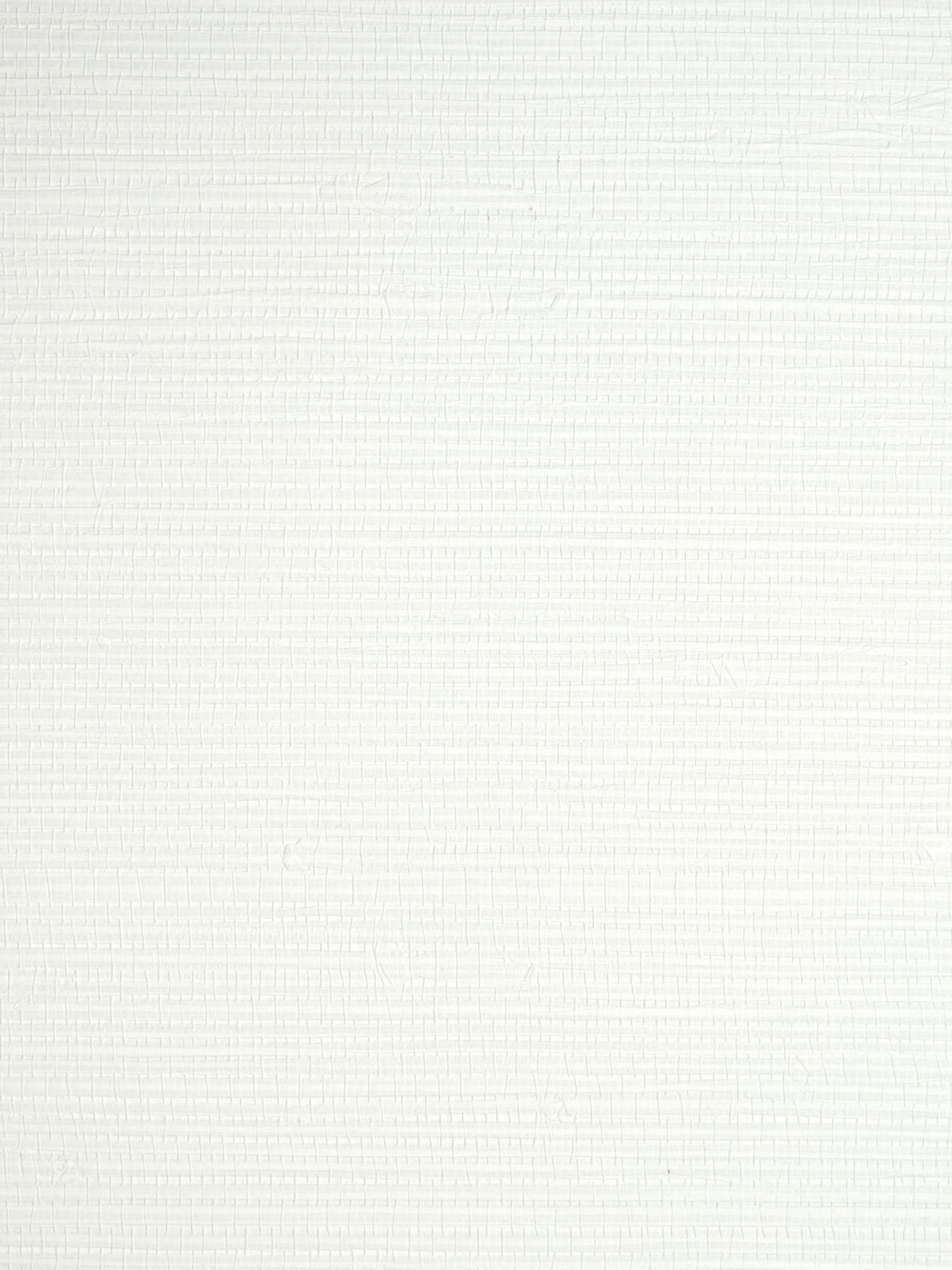 Savanna Seedling wallpaper in froth color - pattern number SC 0015WP88442 - by Scalamandre in the  collection