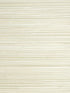 Seagrass wallpaper in lemon grass color - pattern number SC 0016WP88440 - by Scalamandre in the  collection