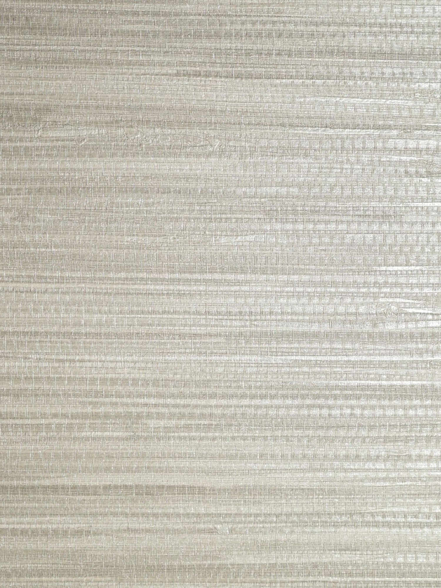 Pampas fabric in greige color - pattern number SC 0018WP88438 - by Scalamandre in the  collection