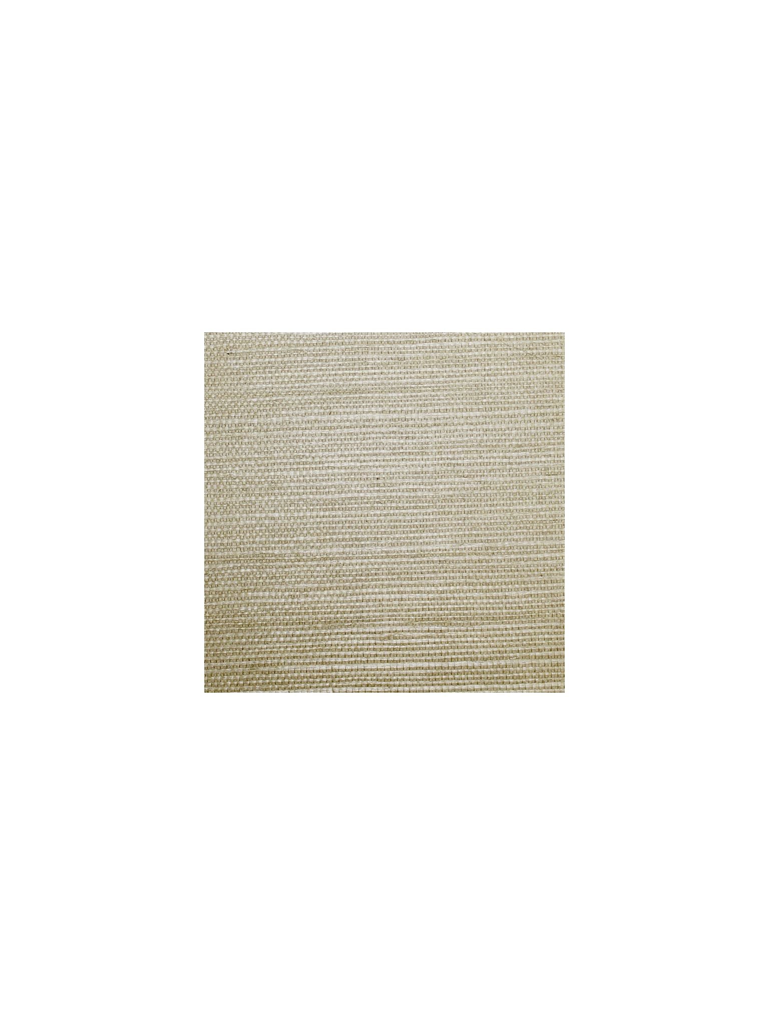 Sisal fabric in cilantro color - pattern number SC 0019G1193 - by Scalamandre in the  collection
