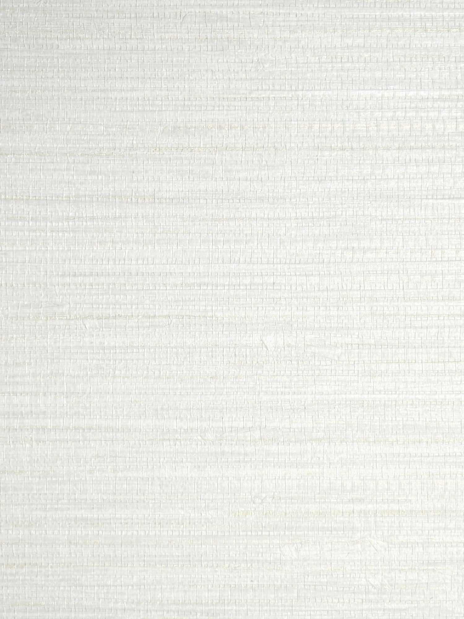 Feather Reed fabric in moonbeam color - pattern number SC 0021WP88437 - by Scalamandre in the  collection