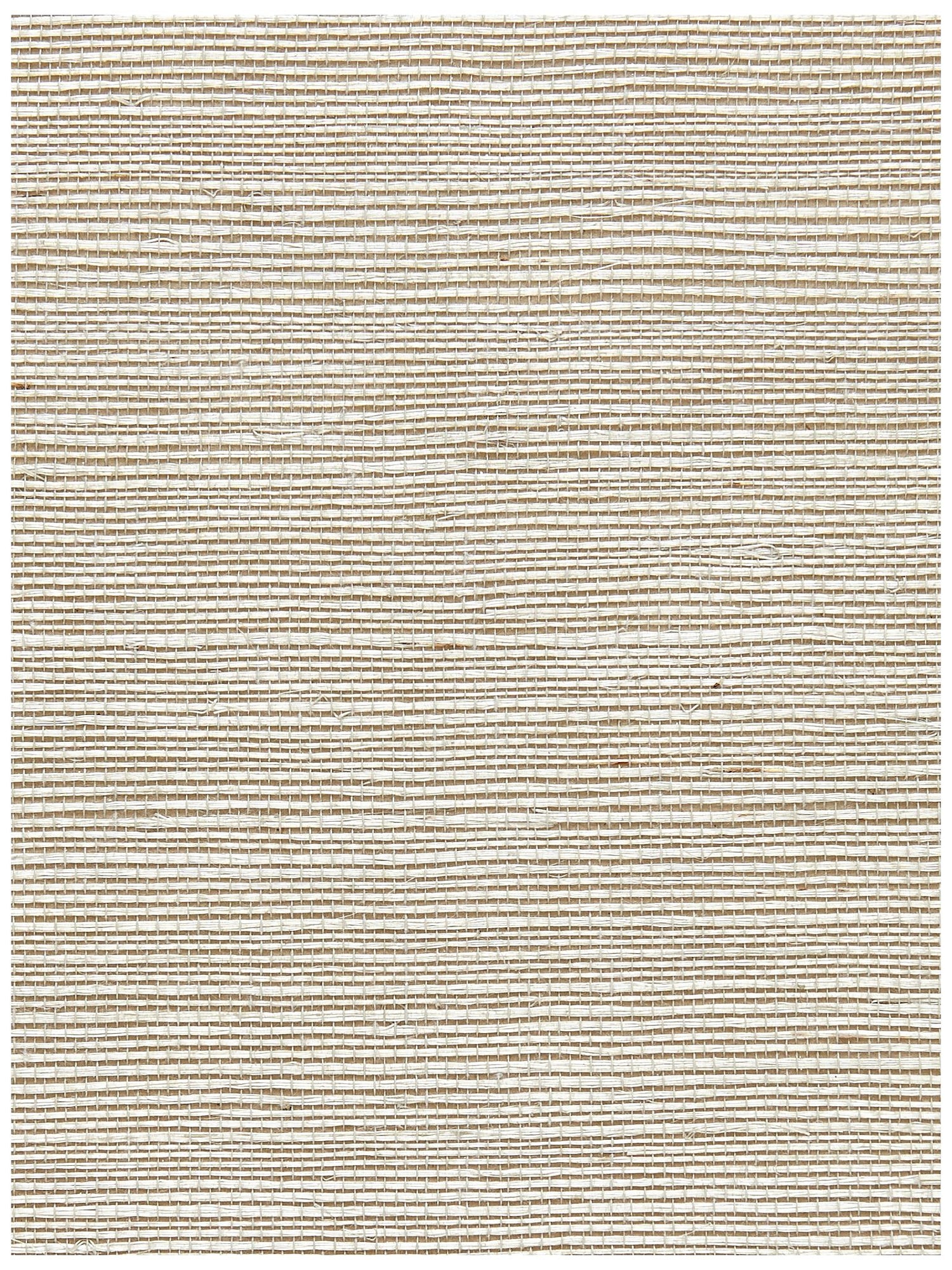Sisal fabric in greige color - pattern number SC 0026G1193 - by Scalamandre in the  collection