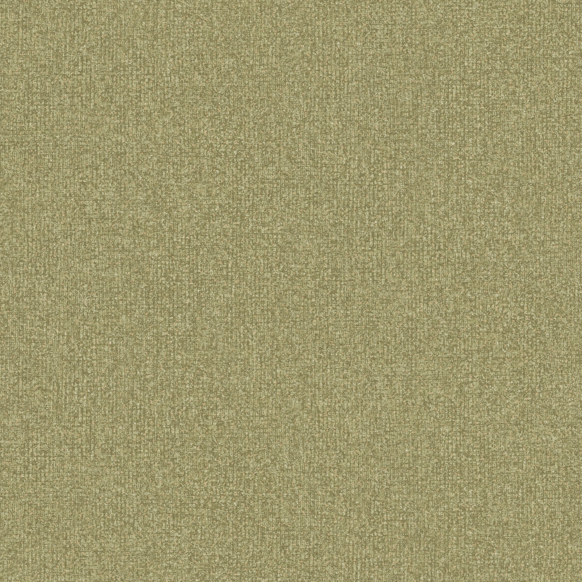 Stone plain Wallpaper in green color - pattern number SF1105 - by Grandeco in the Surfaces collection