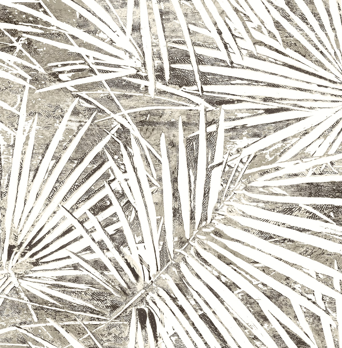 Fossil Palm Peel and Stick wallpaper in pavestone color - pattern number SG13408 - by NextWall in the Peel and Stick Wallpaper by Stacy Garcia Sojourn Collection 6 collection