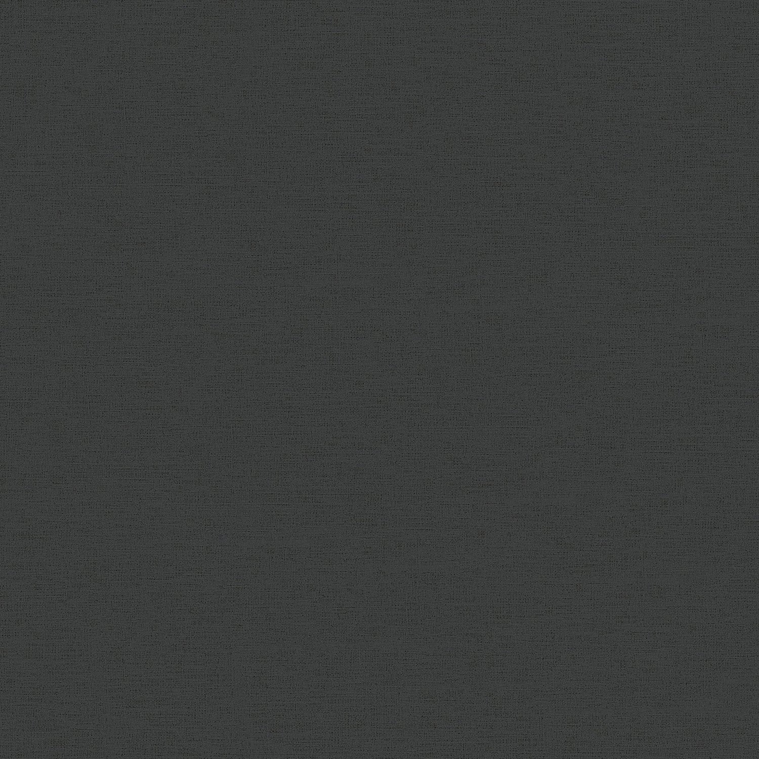 Plain Texture 3 wallpaper in black color - pattern number SS21242 - by Galerie in the Style Sisters collection