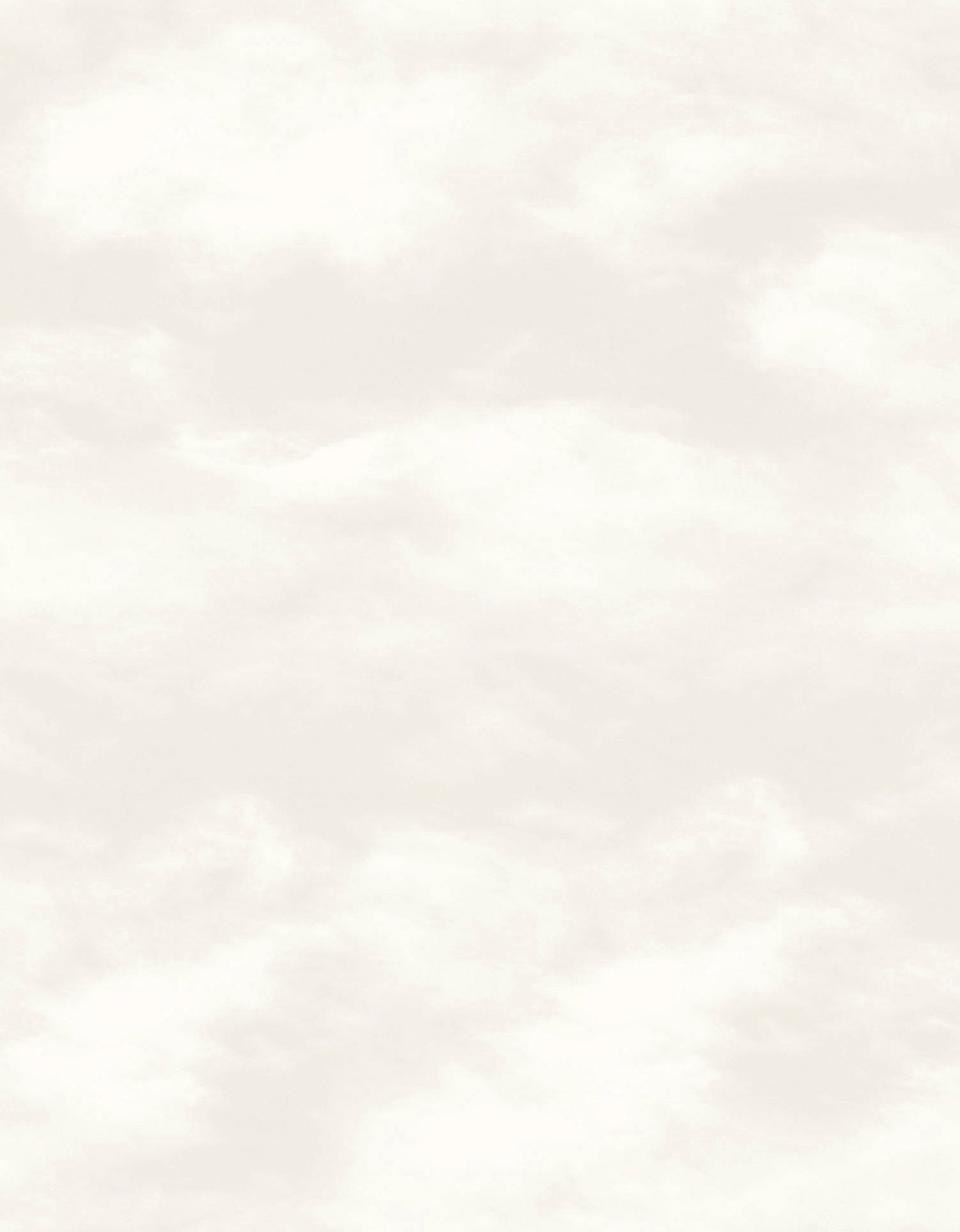 Cloud Natural wallpaper in beige color - pattern number SS21248 - by Galerie in the Style Sisters collection