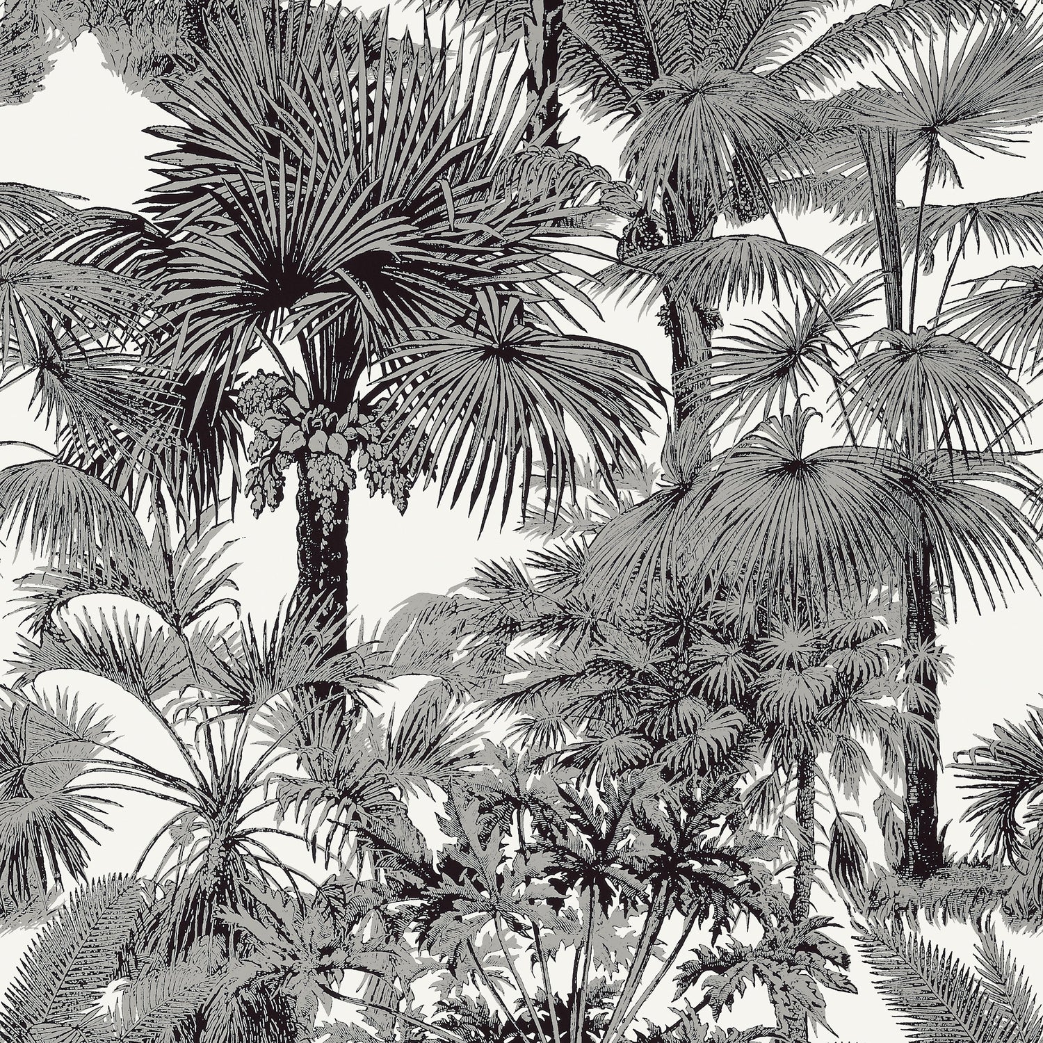 Palm Botanical fabric in black color - pattern number T10102 - by Thibaut in the Tropics collection