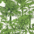 Palm Botanical fabric in emerald green color - pattern number T10103 - by Thibaut in the Tropics collection