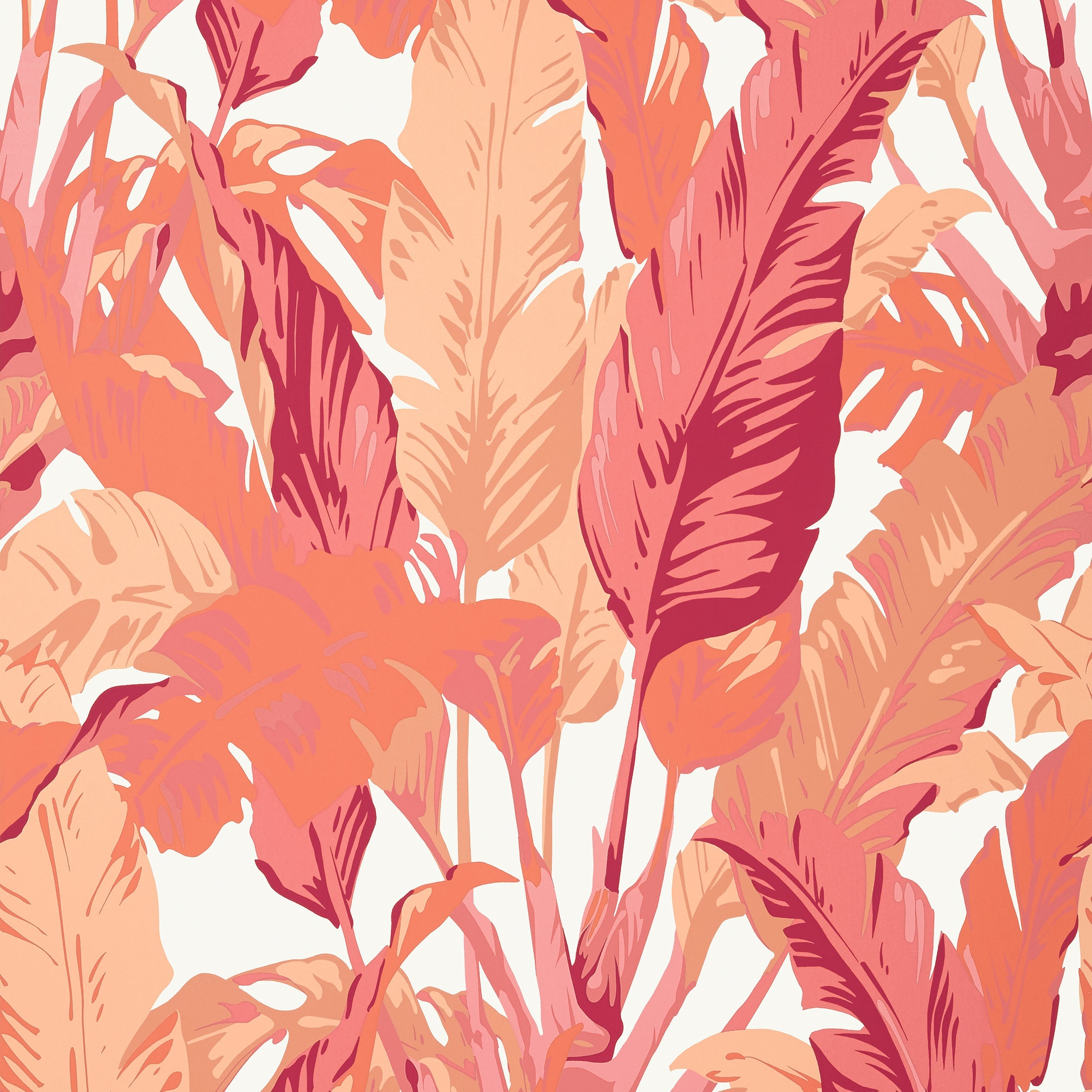 Travelers Palm wallpaper in pink and coral color - pattern number T10130 - by Thibaut in the Tropics collection