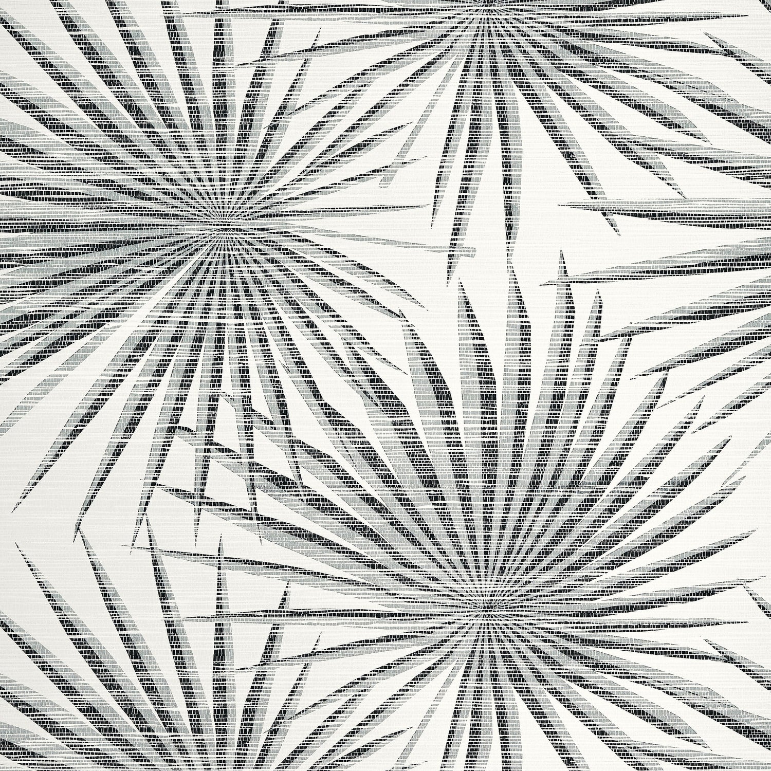 Palm Frond fabric in black and white color - pattern number T10145 - by Thibaut in the Tropics collection