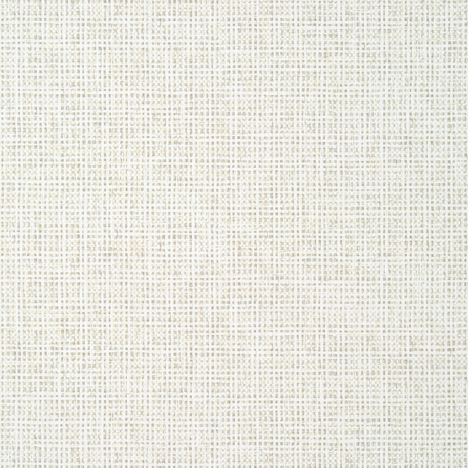 Pinellas wallpaper in beige color - pattern number T10150 - by Thibaut in the Tropics collection