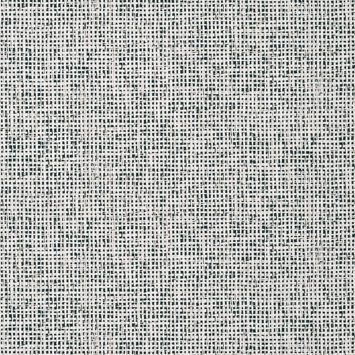 Pinellas wallpaper in black color - pattern number T10152 - by Thibaut in the Tropics collection