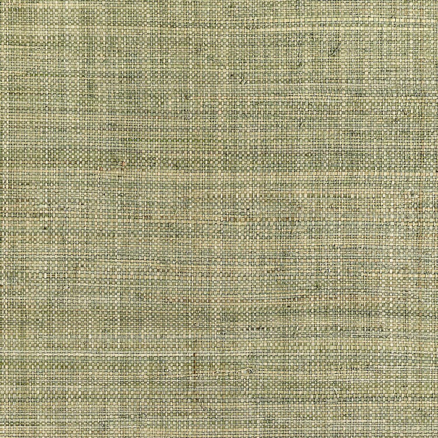 Mackinac Wallpaper in sage color - pattern number T10302 - by Thibaut in the Grasscloth Resource Volume 7 collection