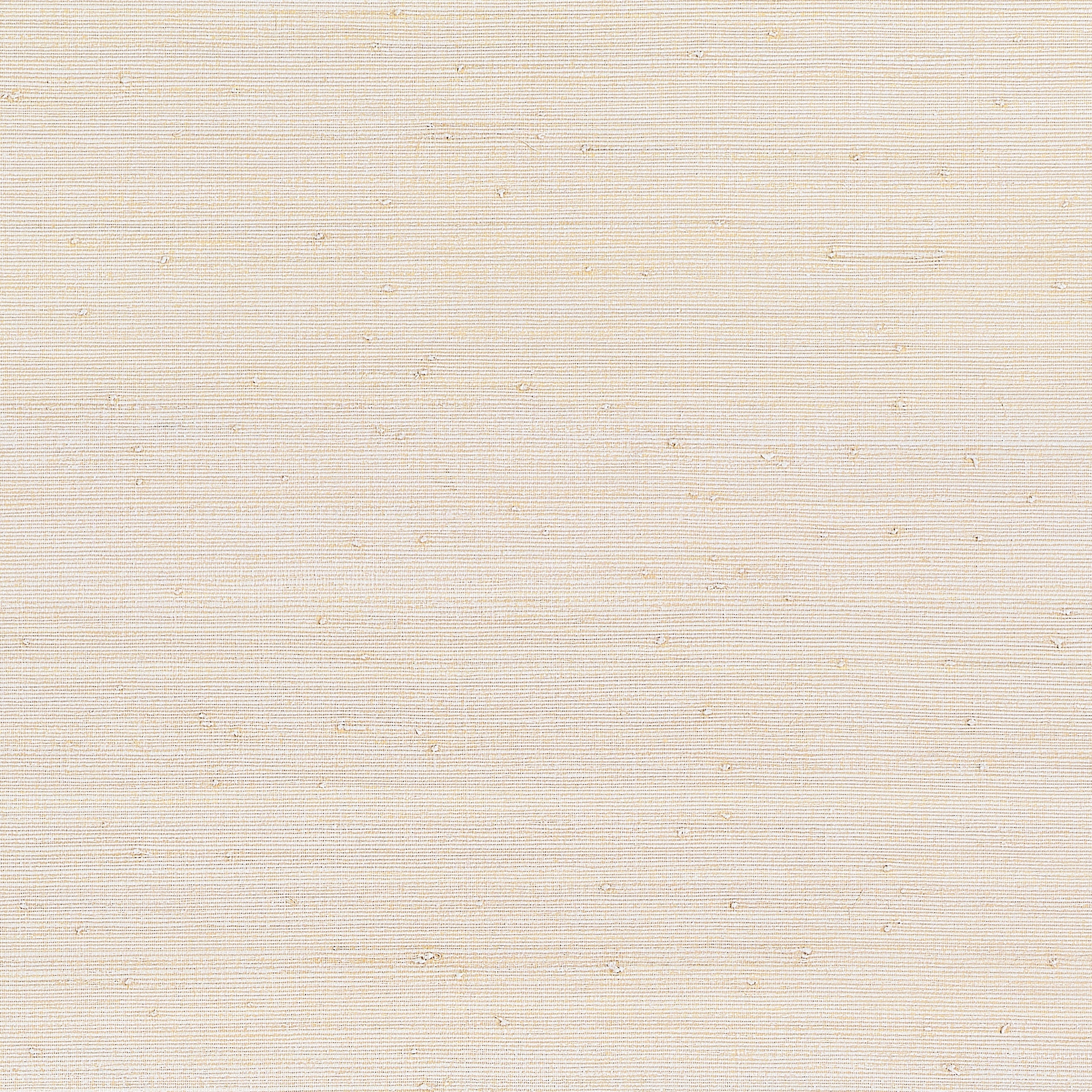 Montgomery Weave Wallpaper in off white color - pattern number T10323 - by Thibaut in the Grasscloth Resource Volume 7 collection