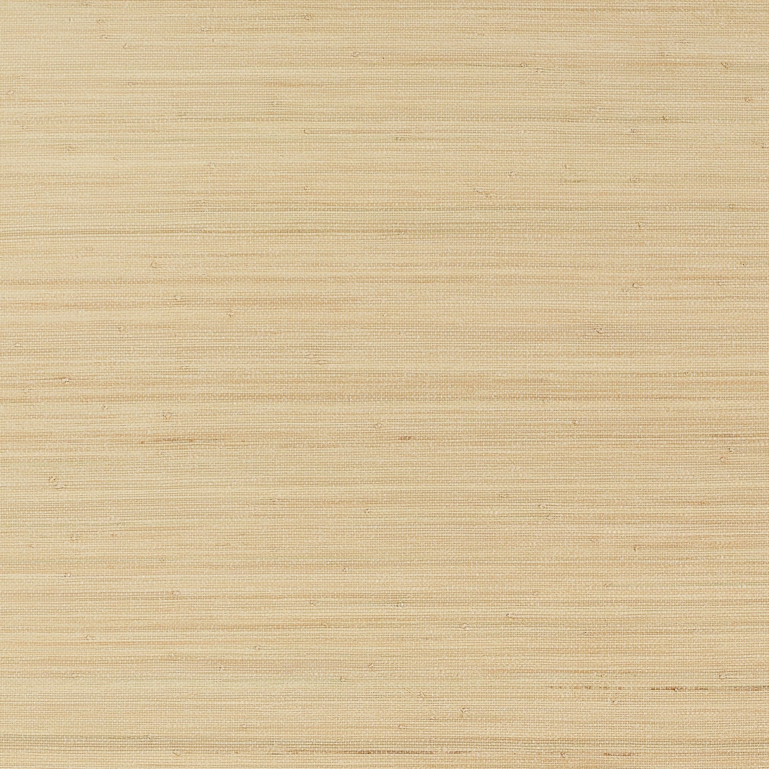 Montgomery Weave Wallpaper in natural color - pattern number T10333 - by Thibaut in the Grasscloth Resource Volume 7 collection