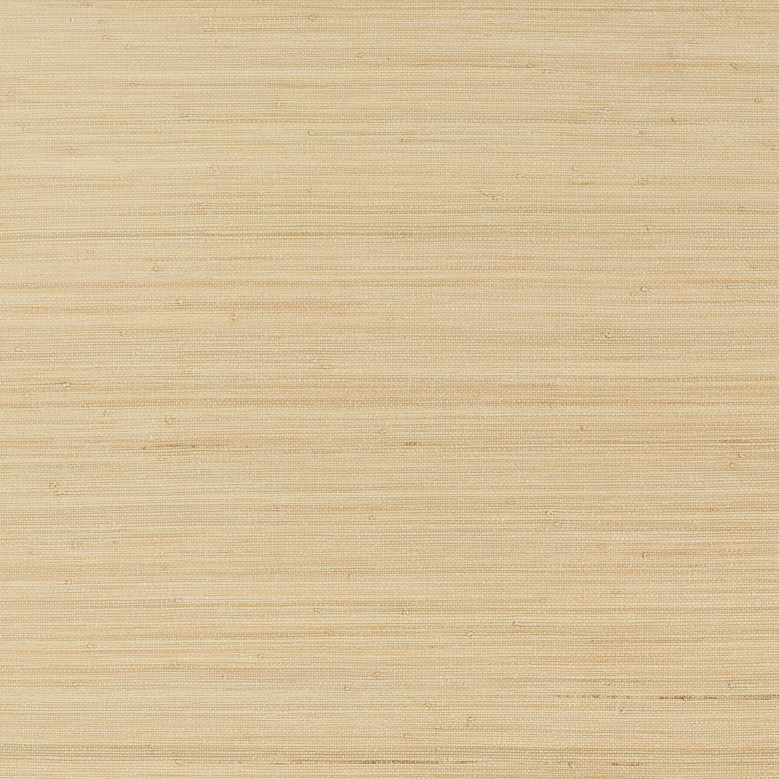 Montgomery Weave Wallpaper in natural color - pattern number T10333 - by Thibaut in the Grasscloth Resource Volume 7 collection