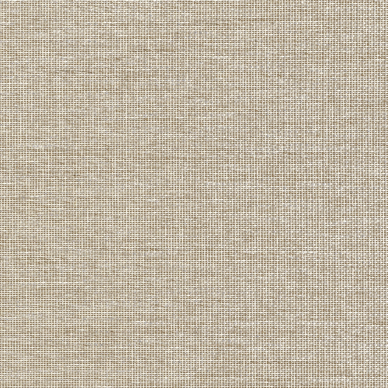 Harrison Wallpaper in beige color - pattern number T10373 - by Thibaut in the Grasscloth Resource Volume 7 collection