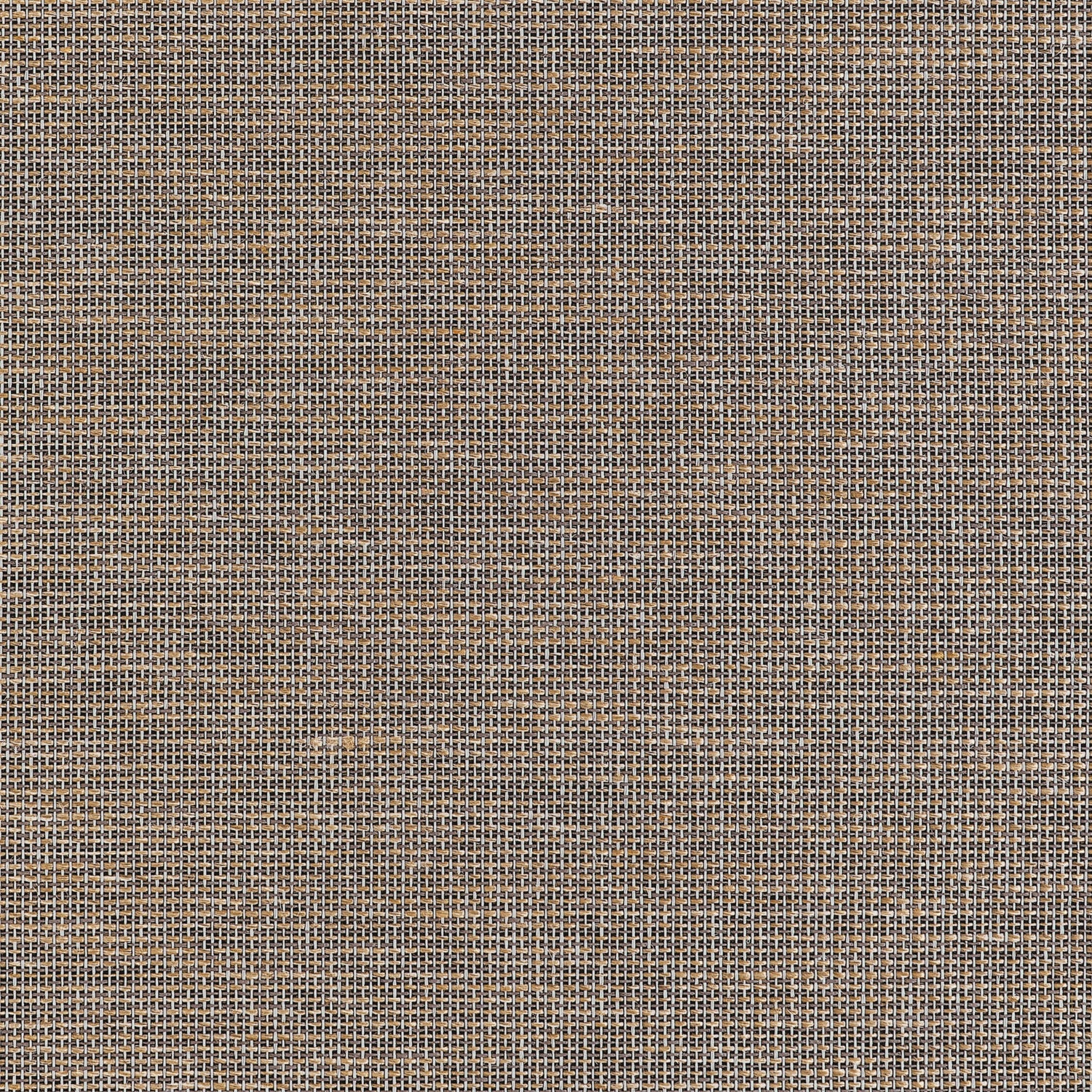 Harrison Wallpaper in black color - pattern number T10378 - by Thibaut in the Grasscloth Resource Volume 7 collection