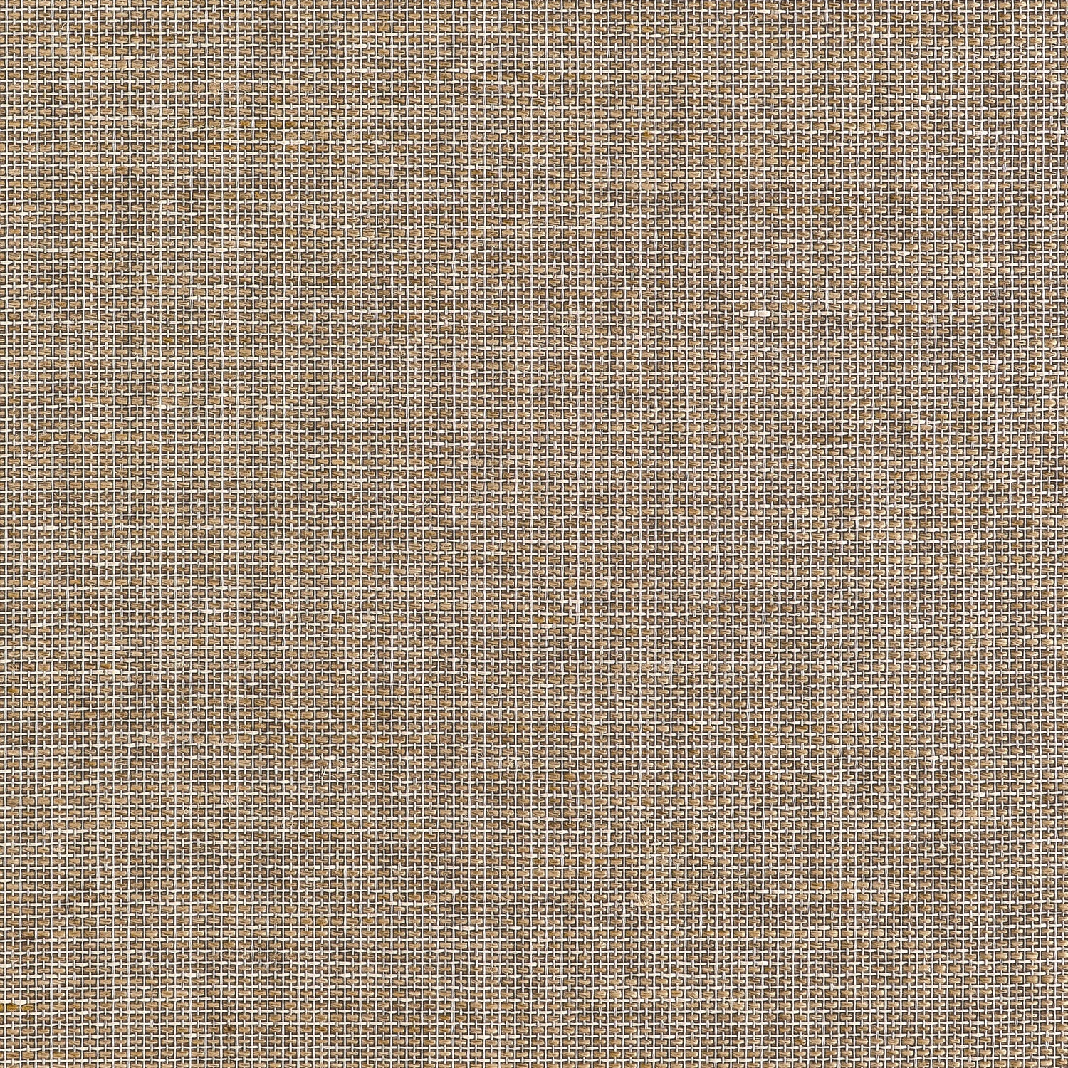 Harrison Wallpaper in brown color - pattern number T10380 - by Thibaut in the Grasscloth Resource Volume 7 collection