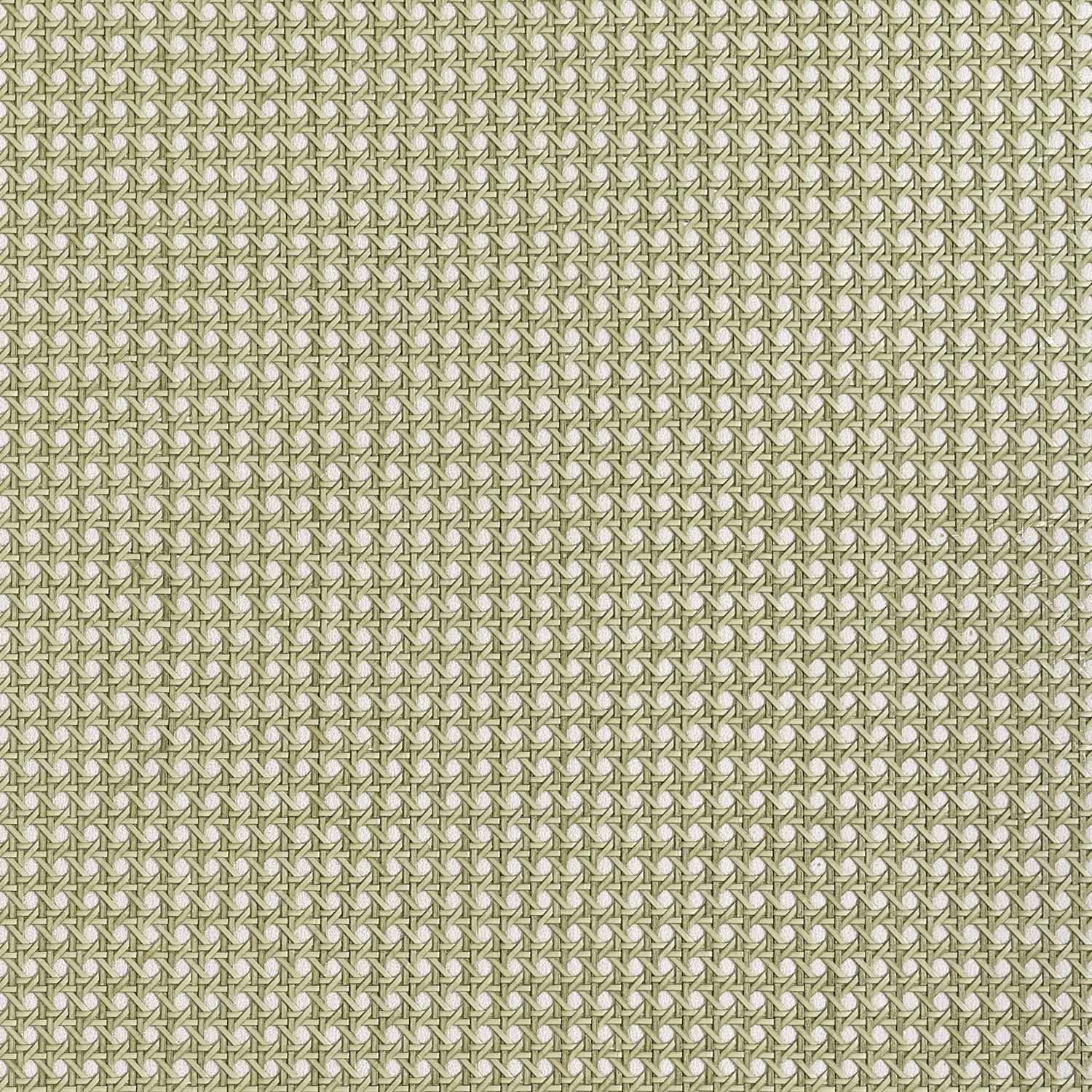Paper Rattan Wallpaper in olive color - pattern number T10391 - by Thibaut in the Grasscloth Resource Volume 7 collection