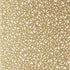 Aedan wallpaper in cream color - pattern number T10401 - by Thibaut in the Modern Resource Volume 2 collection