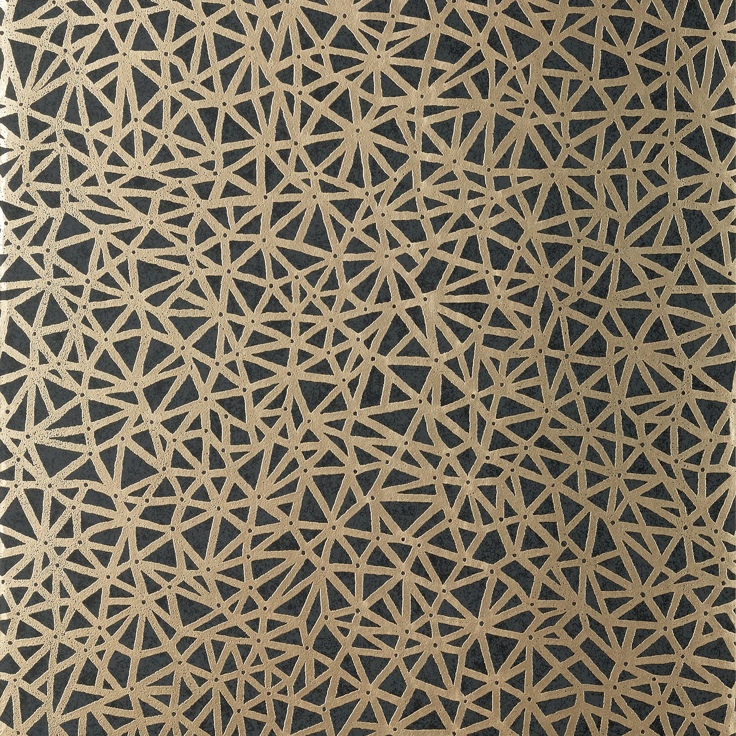 Aedan wallpaper in black color - pattern number T10408 - by Thibaut in the Modern Resource Volume 2 collection