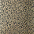 Aedan wallpaper in black color - pattern number T10408 - by Thibaut in the Modern Resource Volume 2 collection