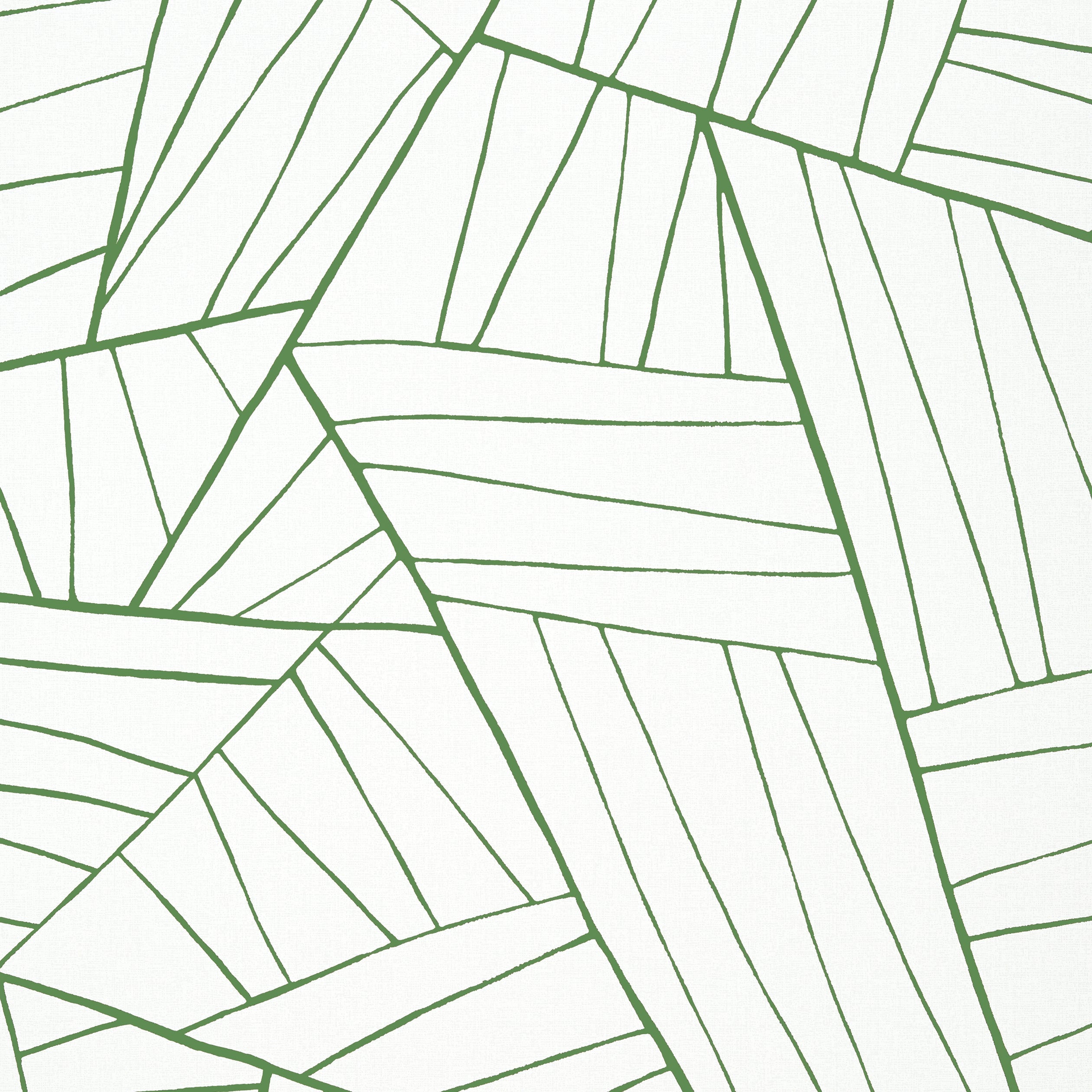 Jordan wallpaper in emerald on white color - pattern number T10442 - by Thibaut in the Modern Resource Volume 2 collection