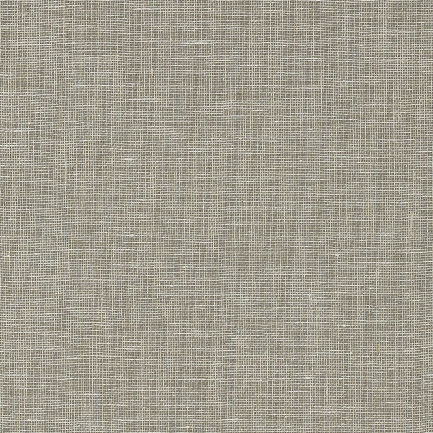 Villa Garden Texture wallpaper in charcoal color - pattern number T10853 - by Thibaut in the Heritage by Thibaut collection