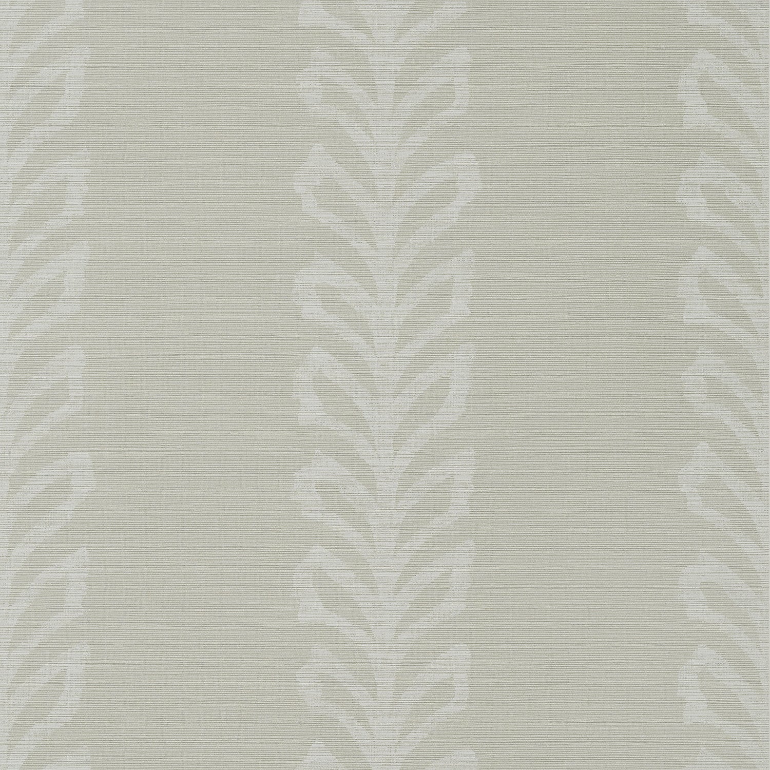 Evia wallpaper in grey and white color - pattern number T10906 - by Thibaut in the Texture Resource Volume 7 collection
