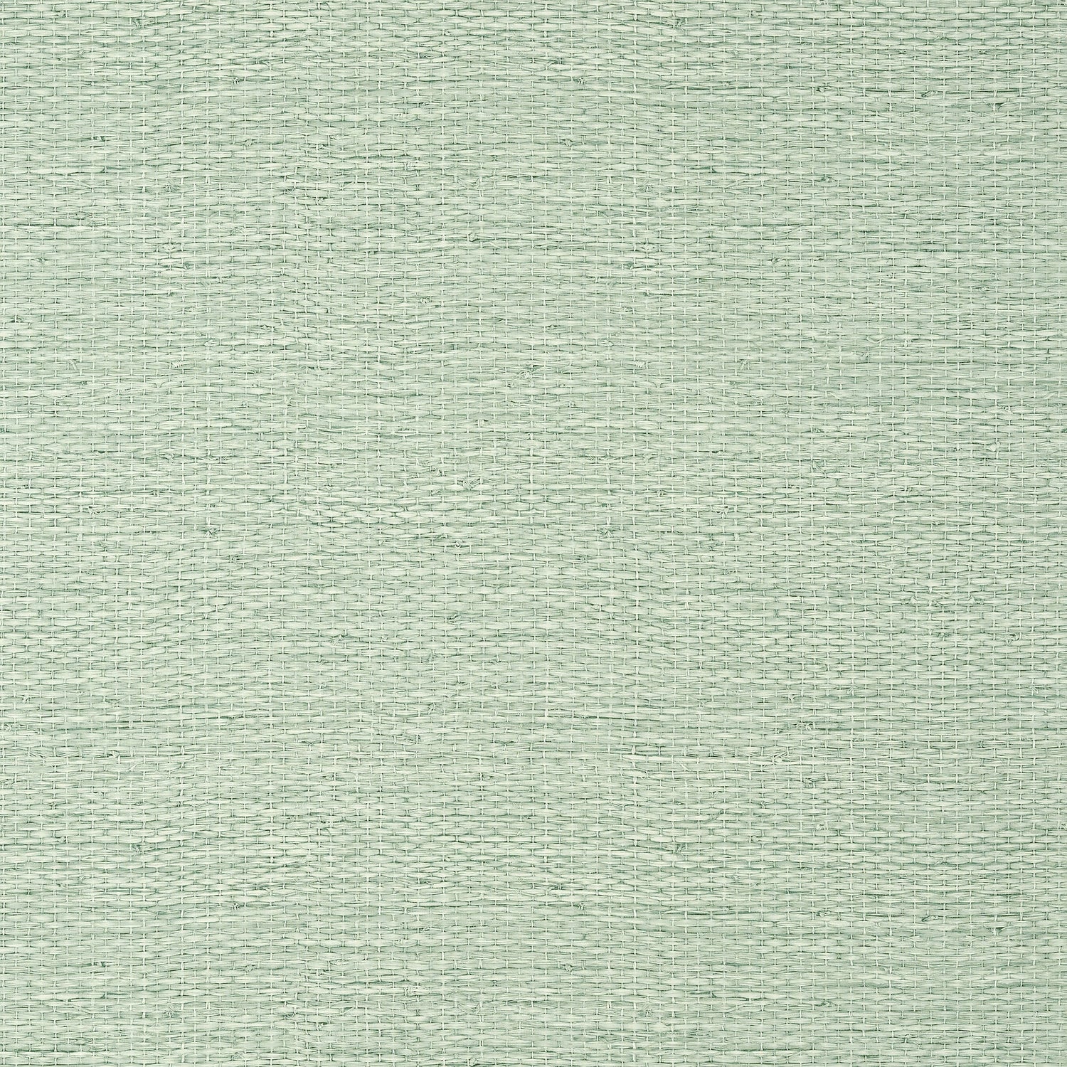 Prairie Weave wallpaper in evergreen color - pattern number T10928 - by Thibaut in the Texture Resource Volume 7 collection