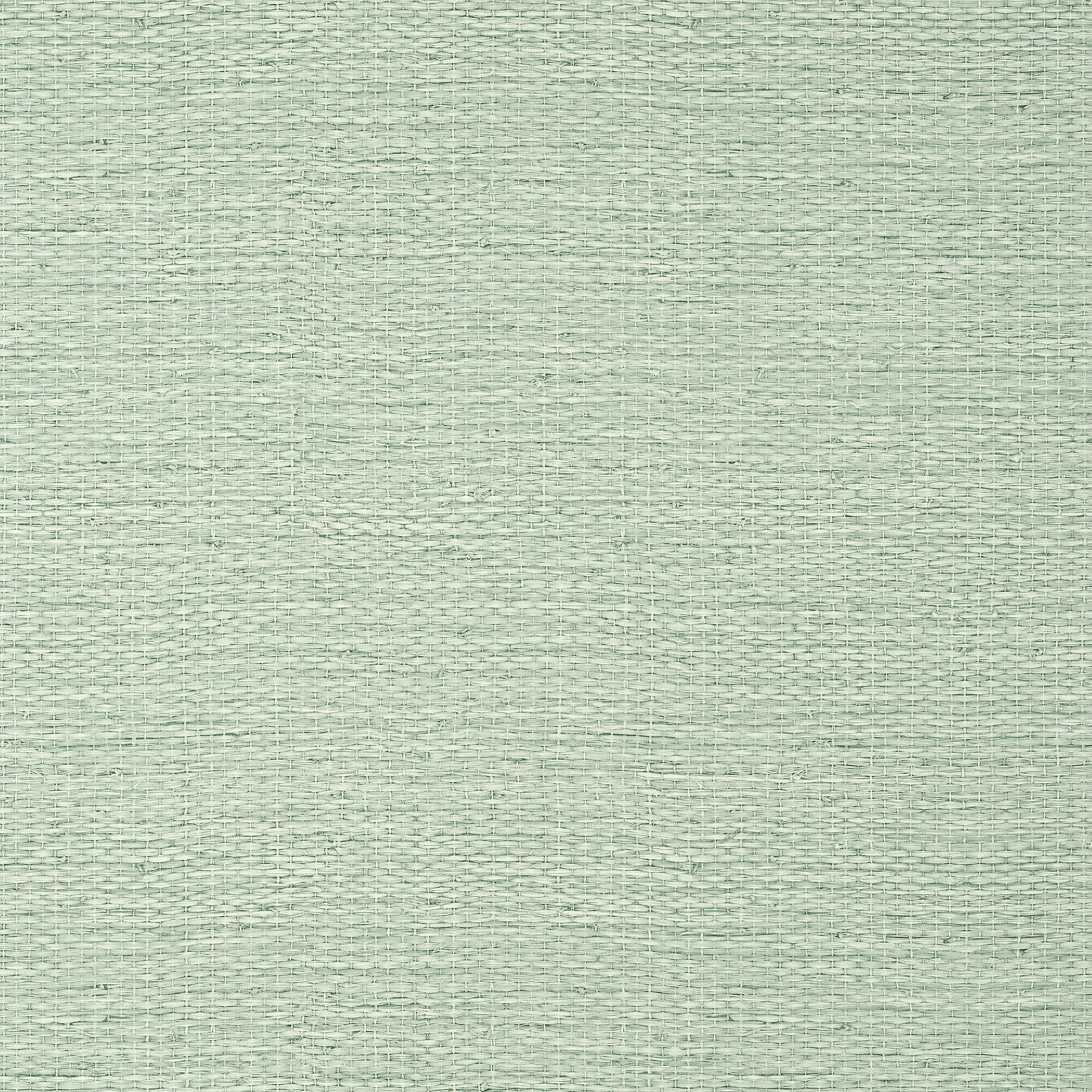 Prairie Weave wallpaper in evergreen color - pattern number T10928 - by Thibaut in the Texture Resource Volume 7 collection