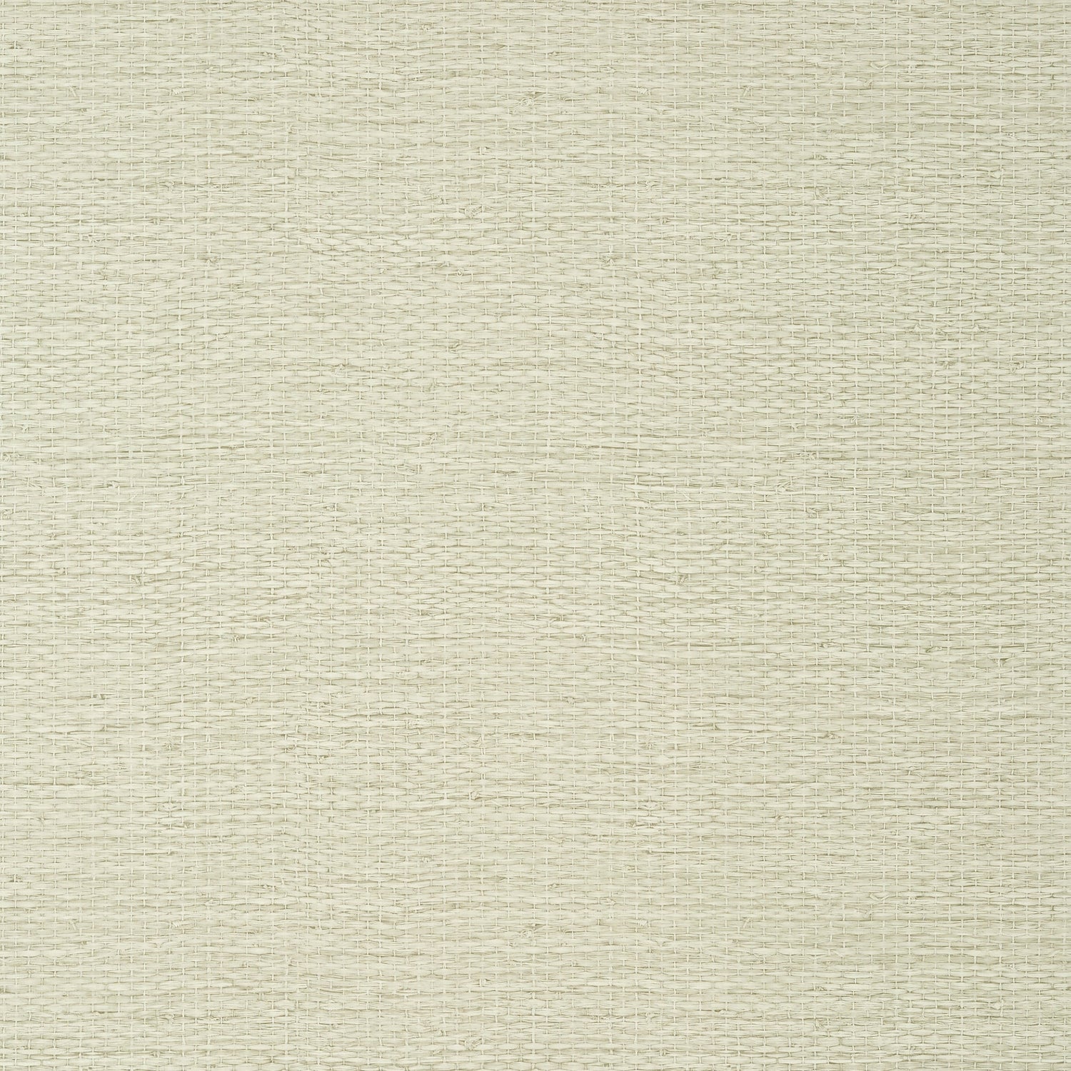 Prairie Weave wallpaper in blonde color - pattern number T10930 - by Thibaut in the Texture Resource Volume 7 collection