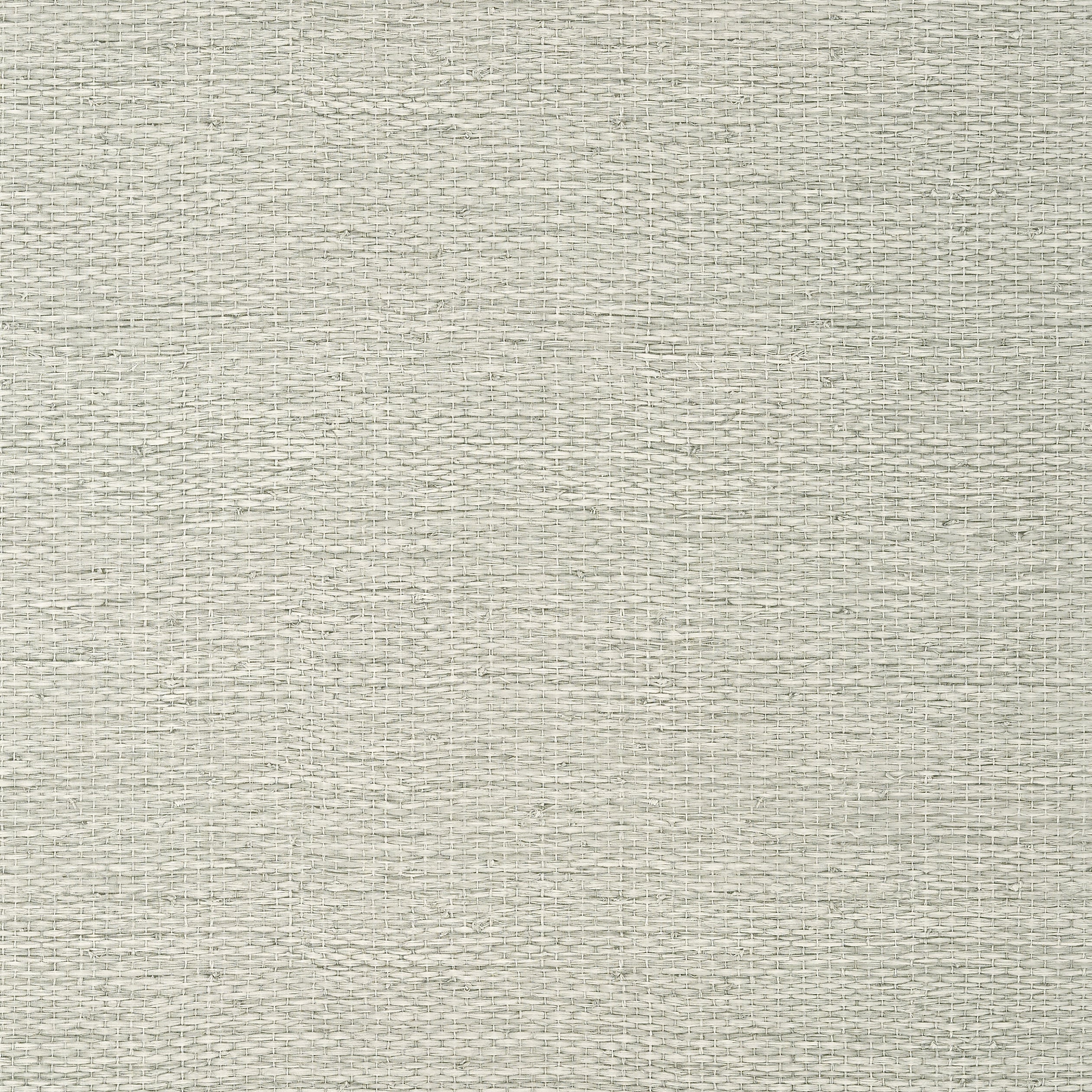 Prairie Weave wallpaper in fog color - pattern number T10934 - by Thibaut in the Texture Resource Volume 7 collection
