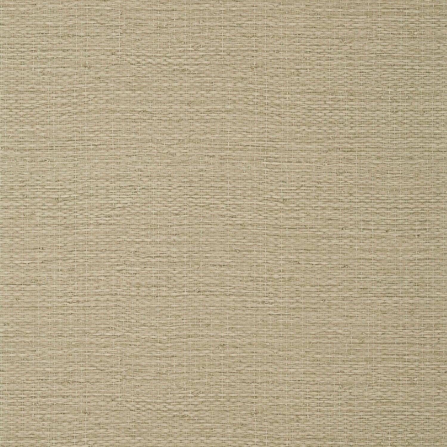 Prairie Weave wallpaper in brown color - pattern number T10963 - by Thibaut in the Texture Resource Volume 7 collection
