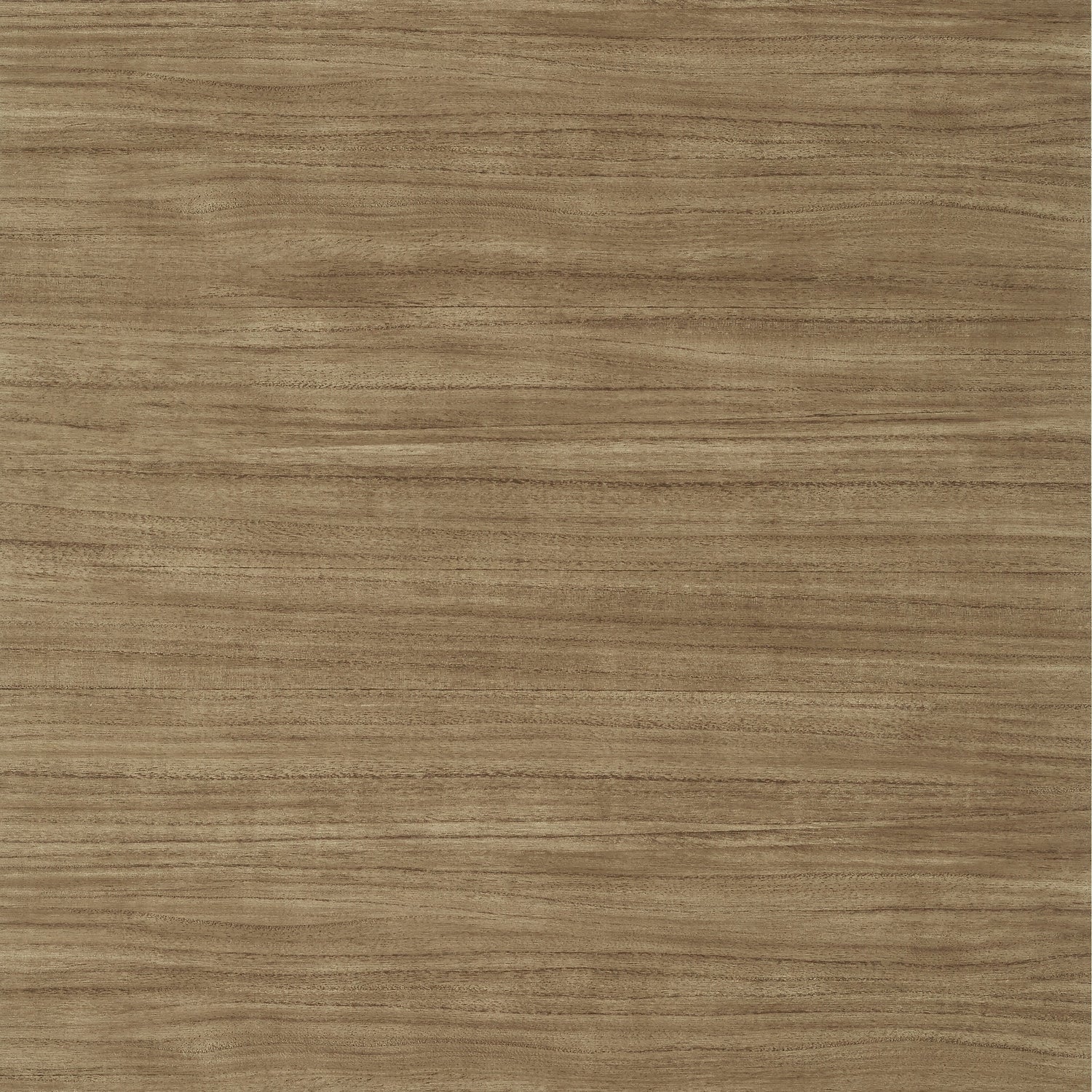 Woodrow wallpaper in brown color - pattern number T10986 - by Thibaut in the Texture Resource Volume 7 collection