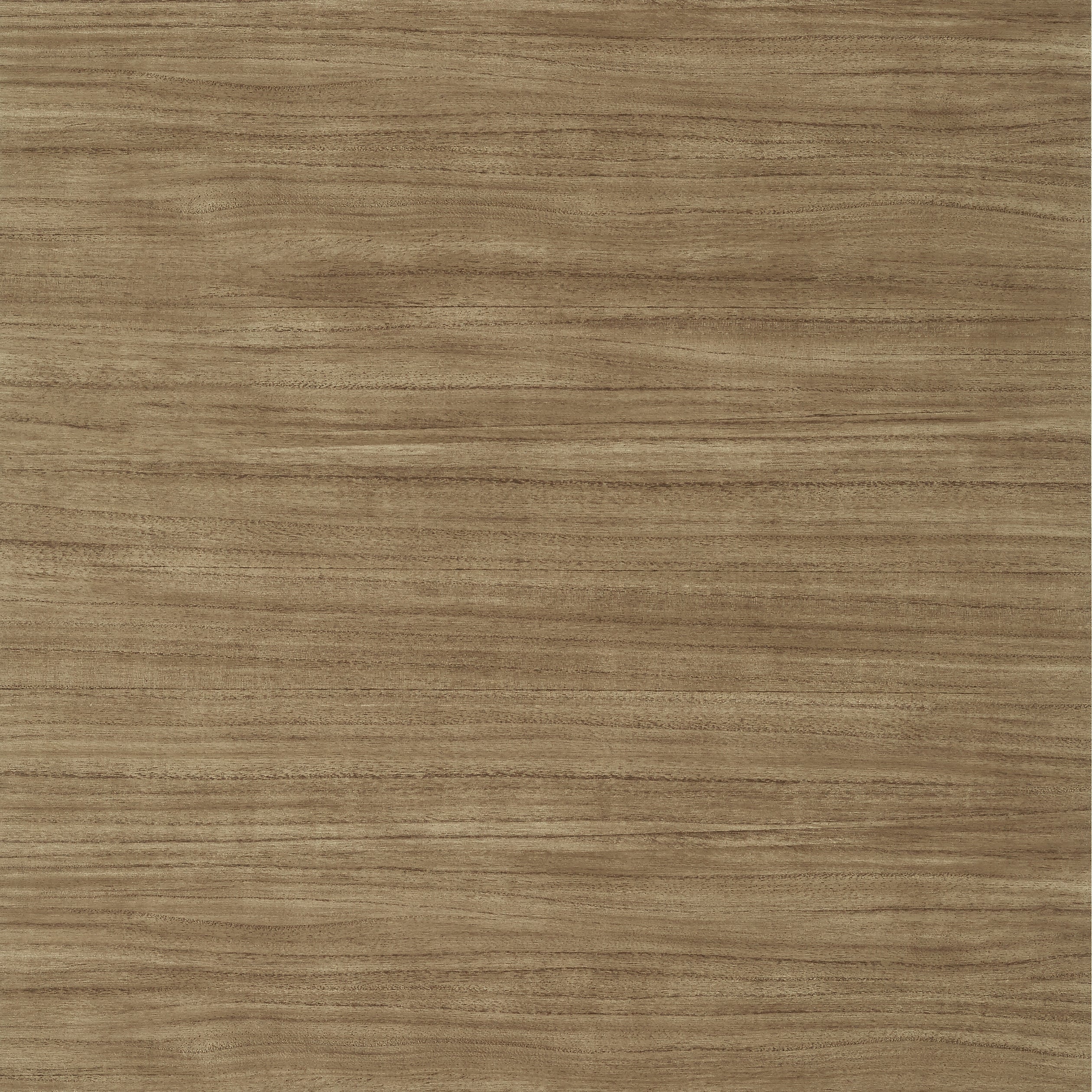 Woodrow wallpaper in brown color - pattern number T10986 - by Thibaut in the Texture Resource Volume 7 collection