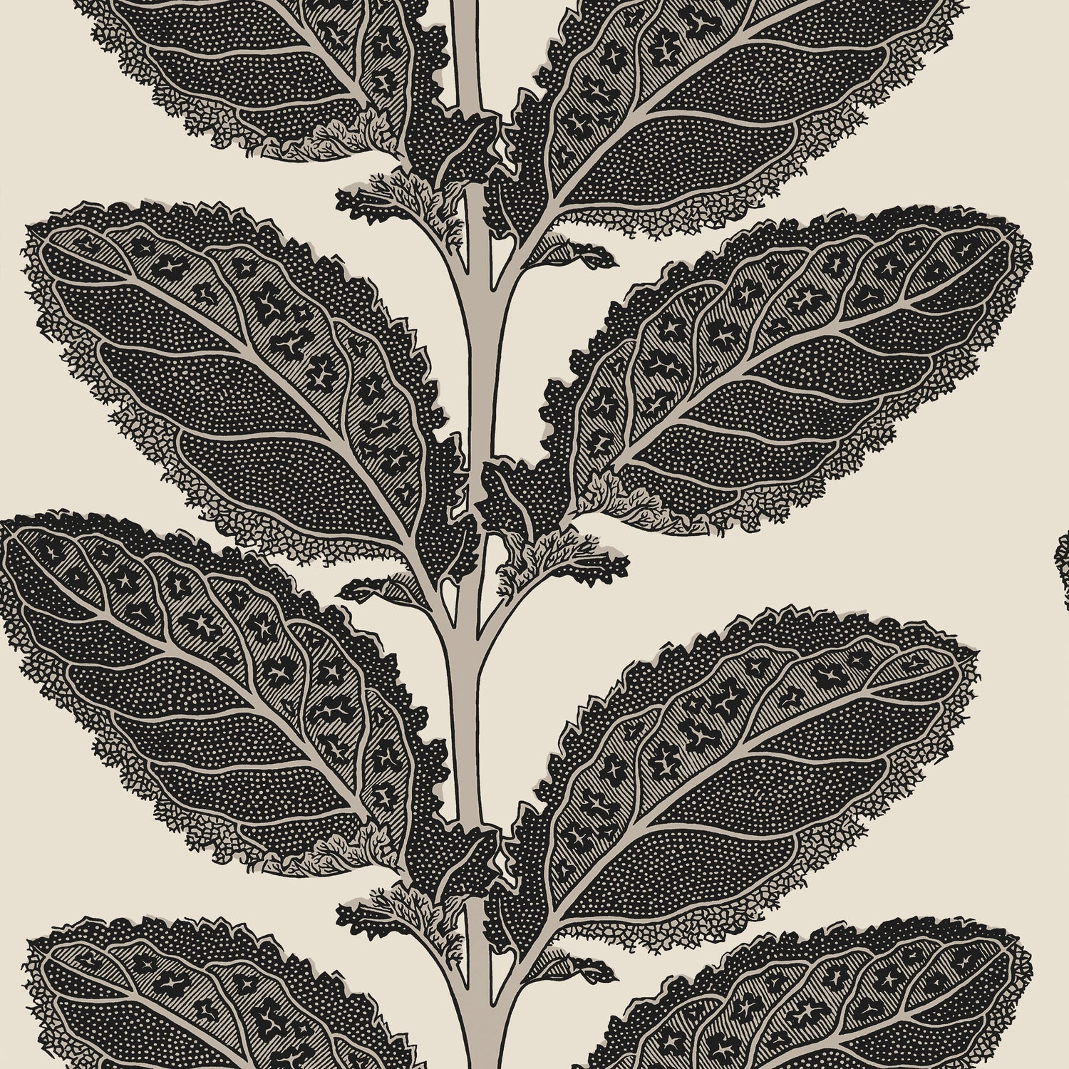 Lacinato wallpaper in basalt black color - pattern number T12038 - by Thibaut in the Vista collection