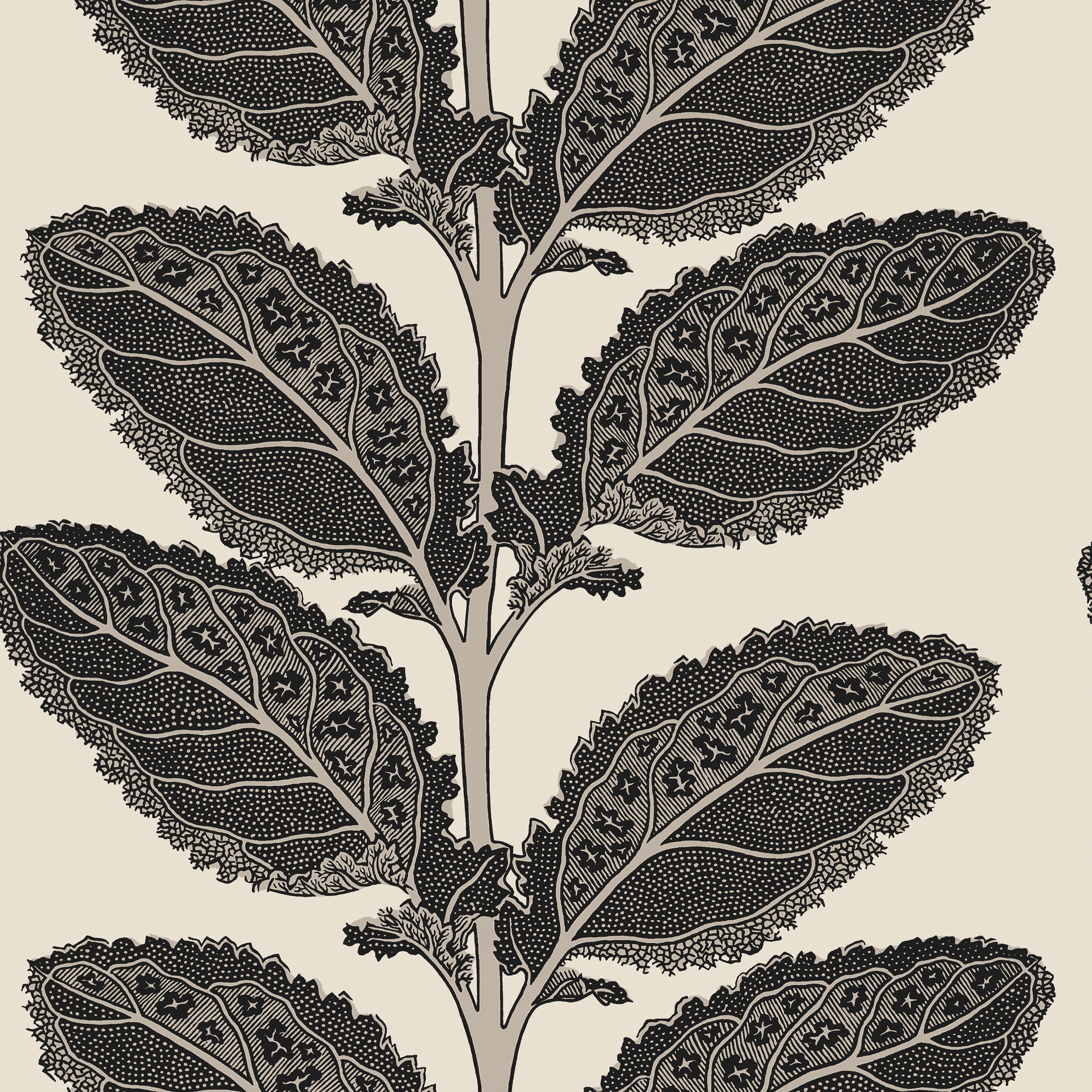 Lacinato wallpaper in basalt black color - pattern number T12038 - by Thibaut in the Vista collection
