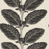 Lacinato wallpaper in basalt black color - pattern number T12038 - by Thibaut in the Vista collection
