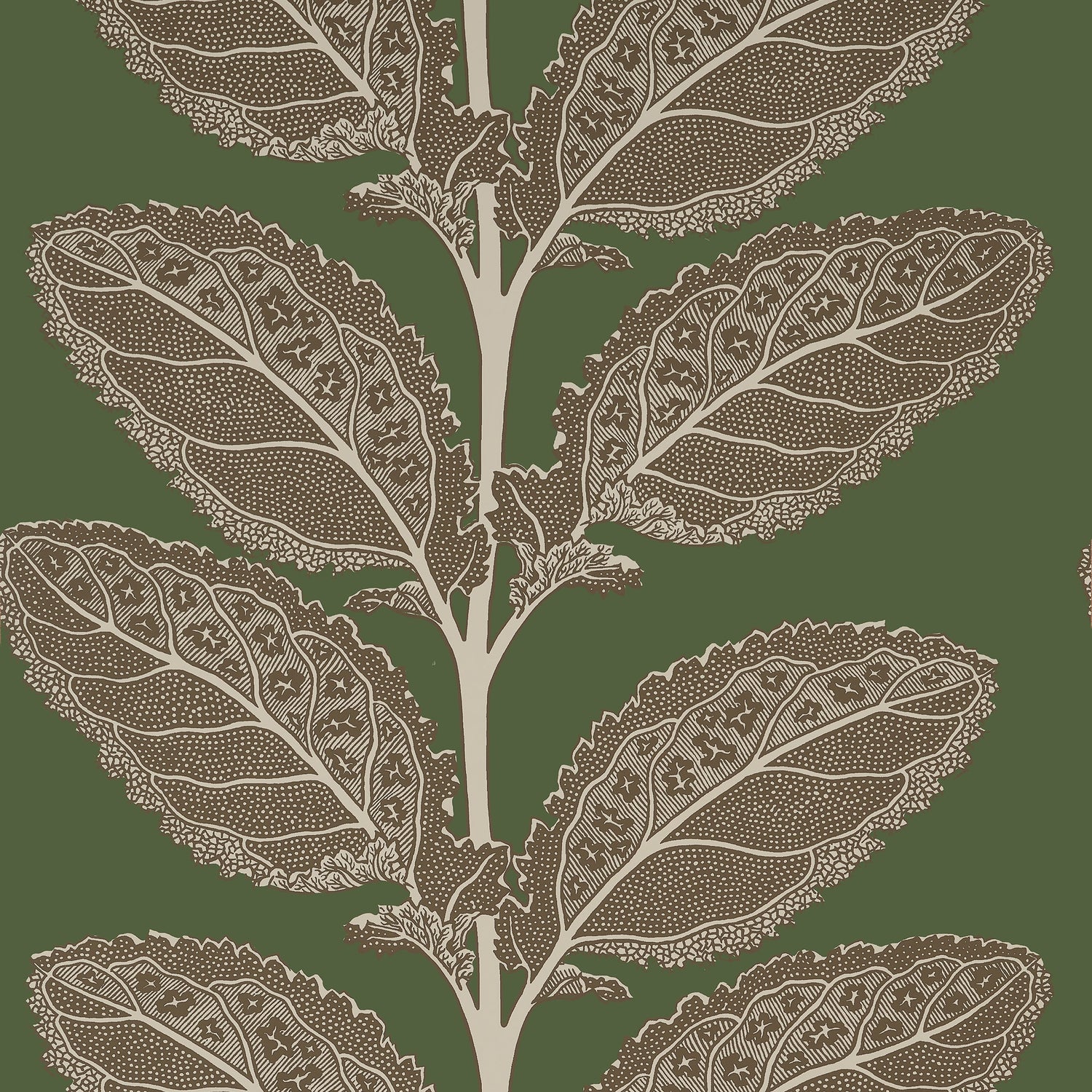 Lacinato wallpaper in wild sage color - pattern number T12040 - by Thibaut in the Vista collection