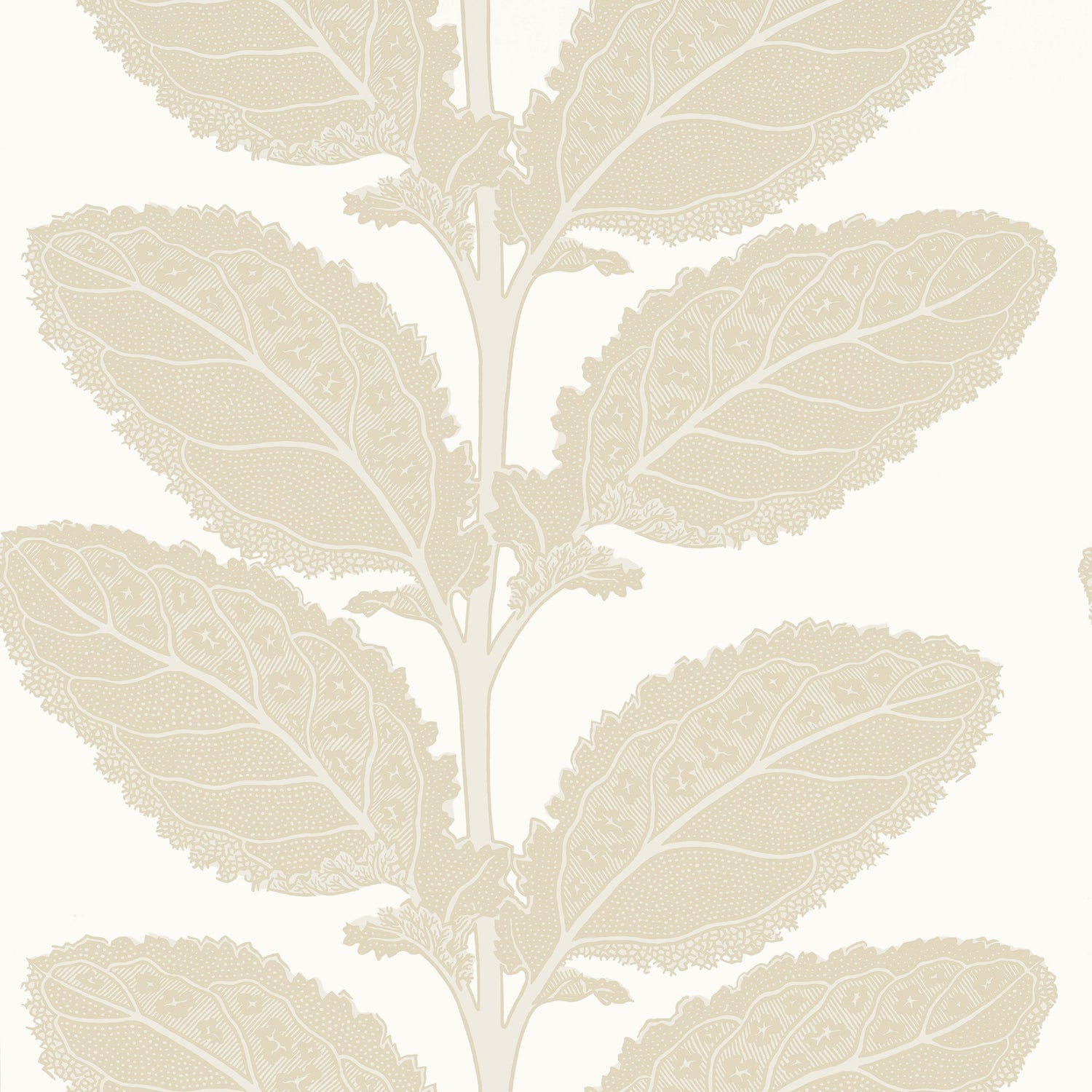Lacinato wallpaper in birch color - pattern number T12041 - by Thibaut in the Vista collection