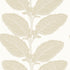 Lacinato wallpaper in birch color - pattern number T12041 - by Thibaut in the Vista collection