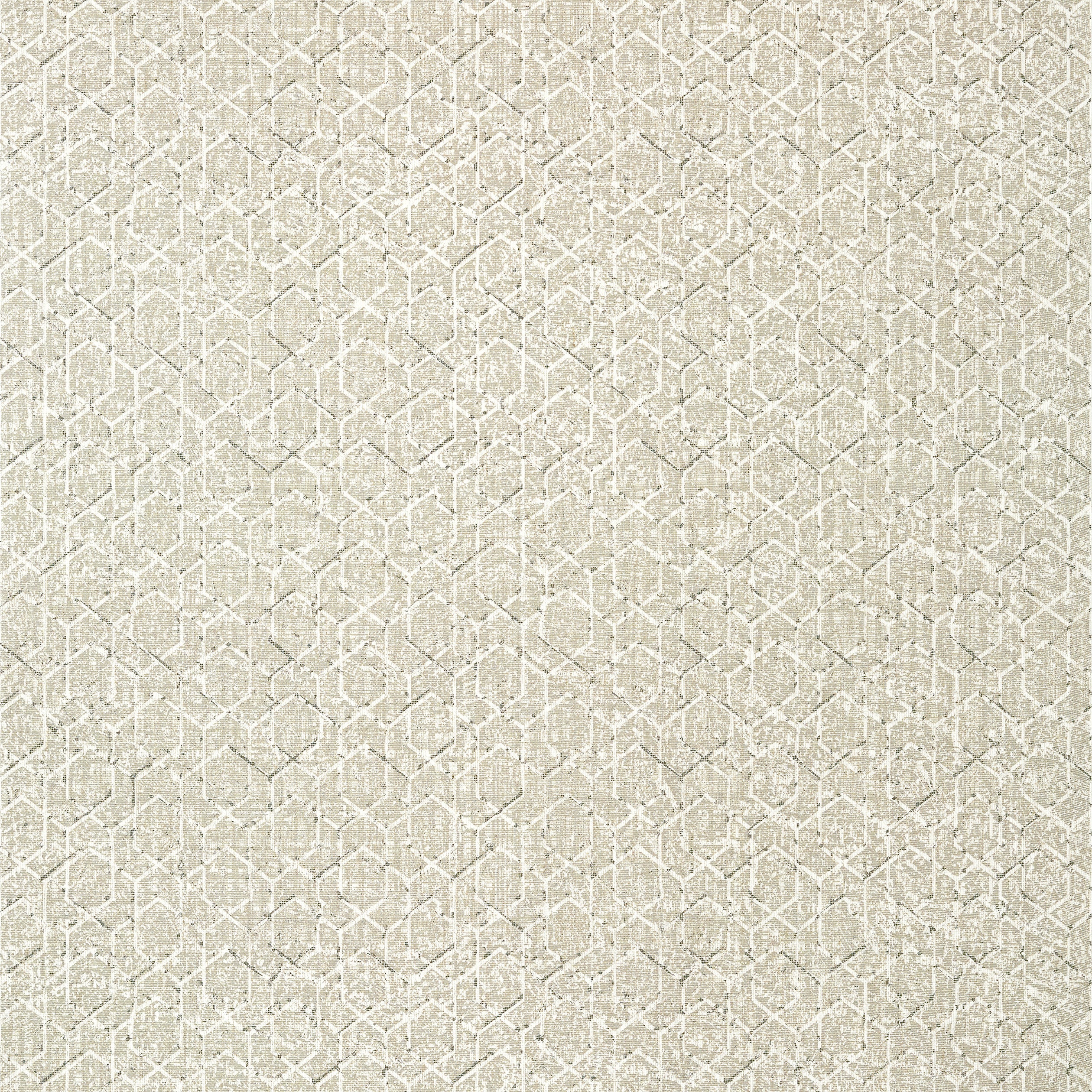 Twilight wallpaper in taupe color - pattern number T12800 - by Thibaut in the Modern Resource Volume 3 collection