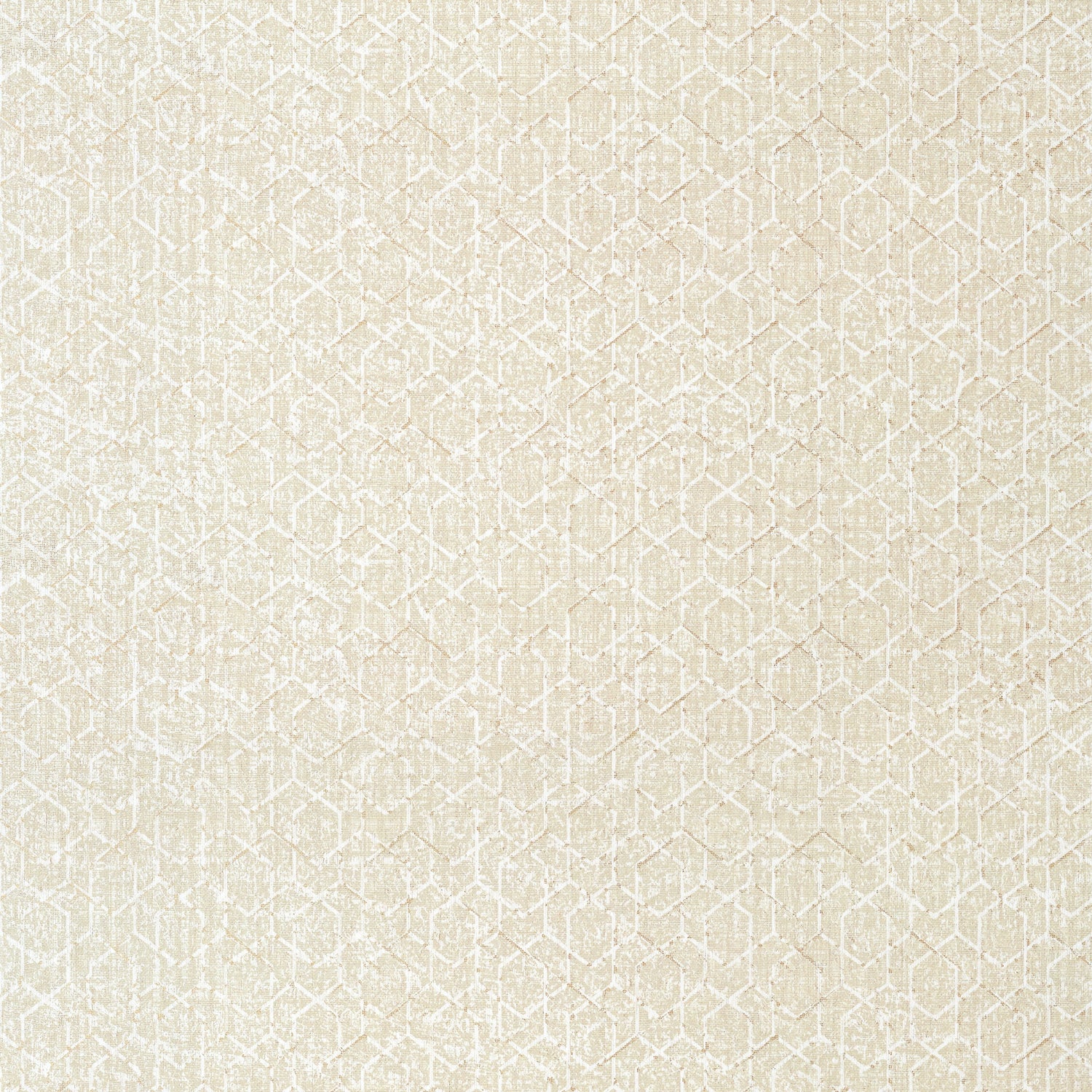 Twilight wallpaper in beige color - pattern number T12801 - by Thibaut in the Modern Resource Volume 3 collection